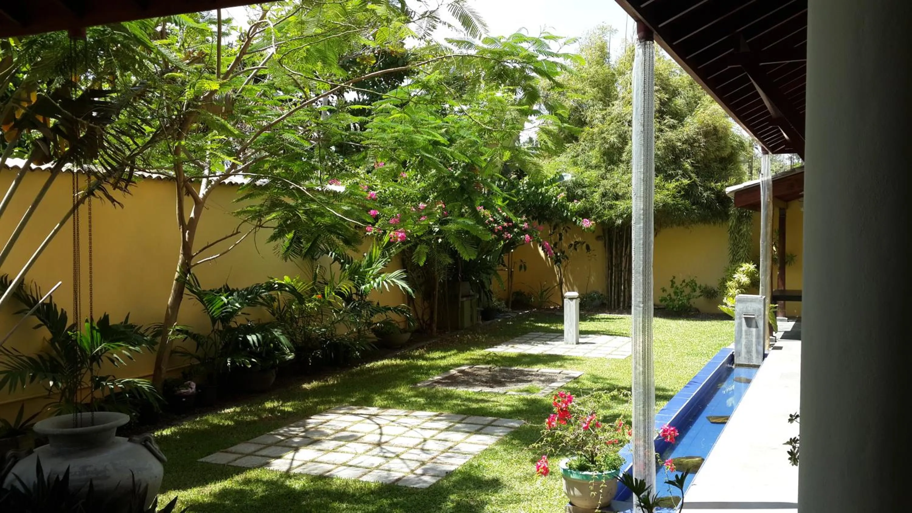 Garden in IMAGINE Villa Hotel