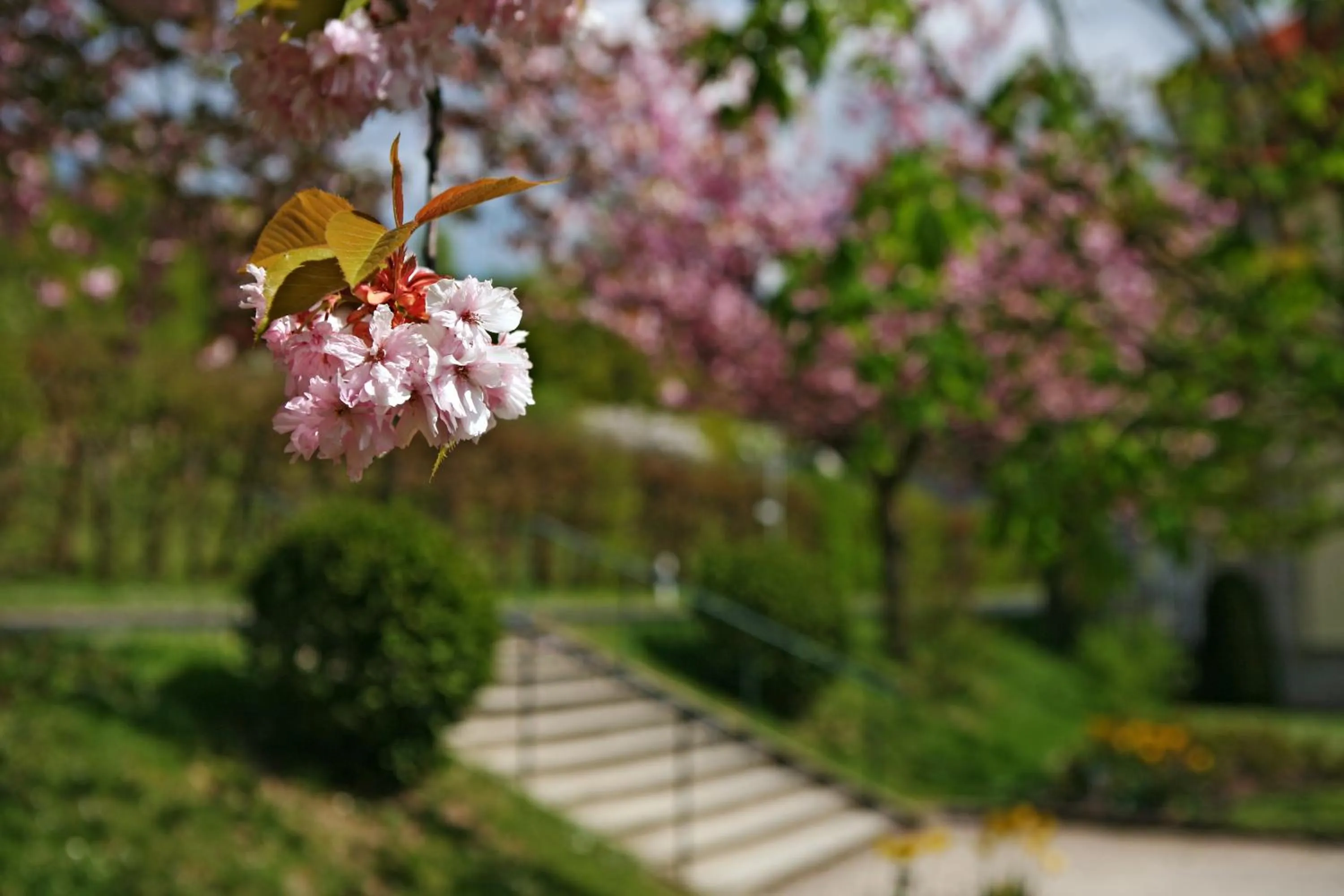 Natural landscape in Badhotel Bad Brückenau