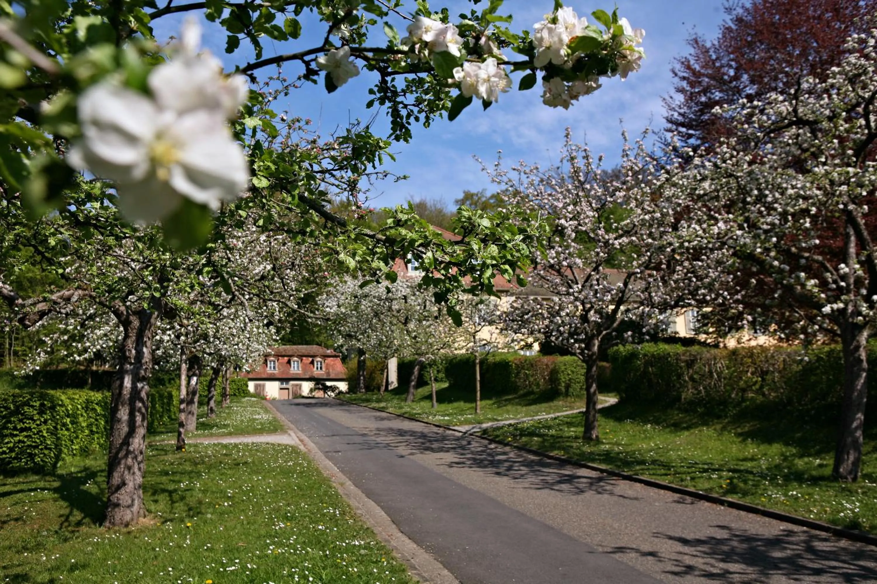 Garden in Badhotel Bad Brückenau