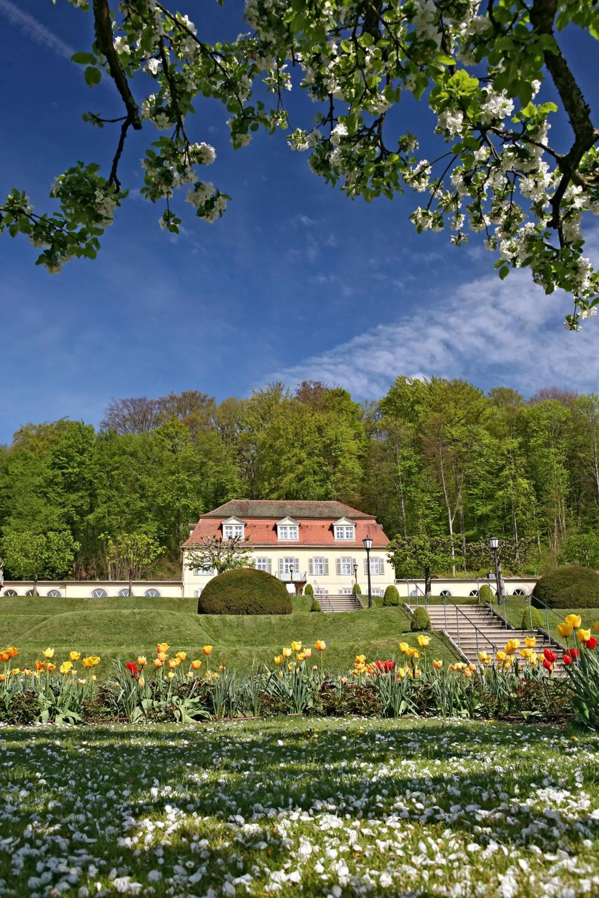 Neighbourhood in Badhotel Bad Brückenau