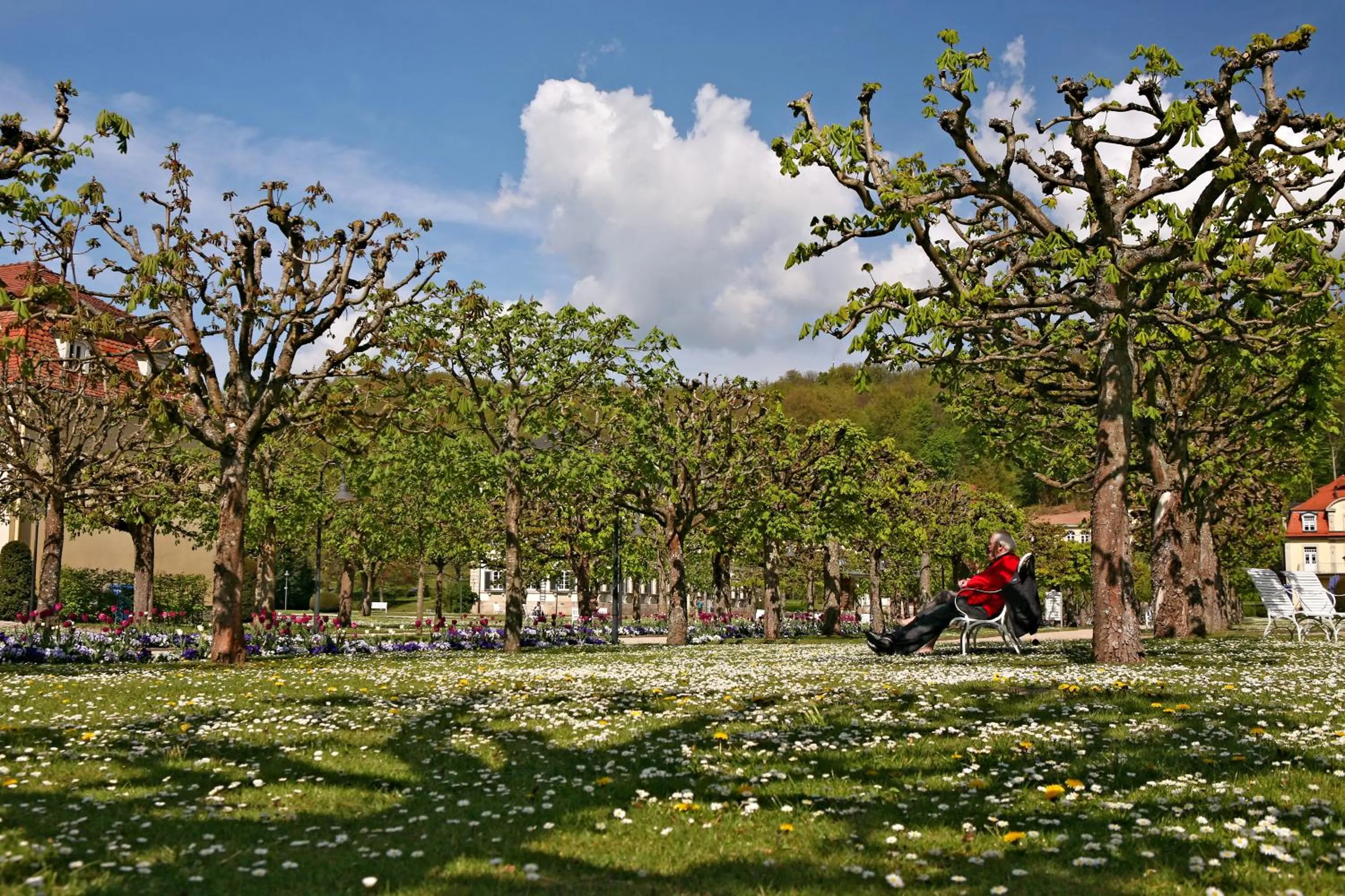 Natural landscape in Badhotel Bad Brückenau