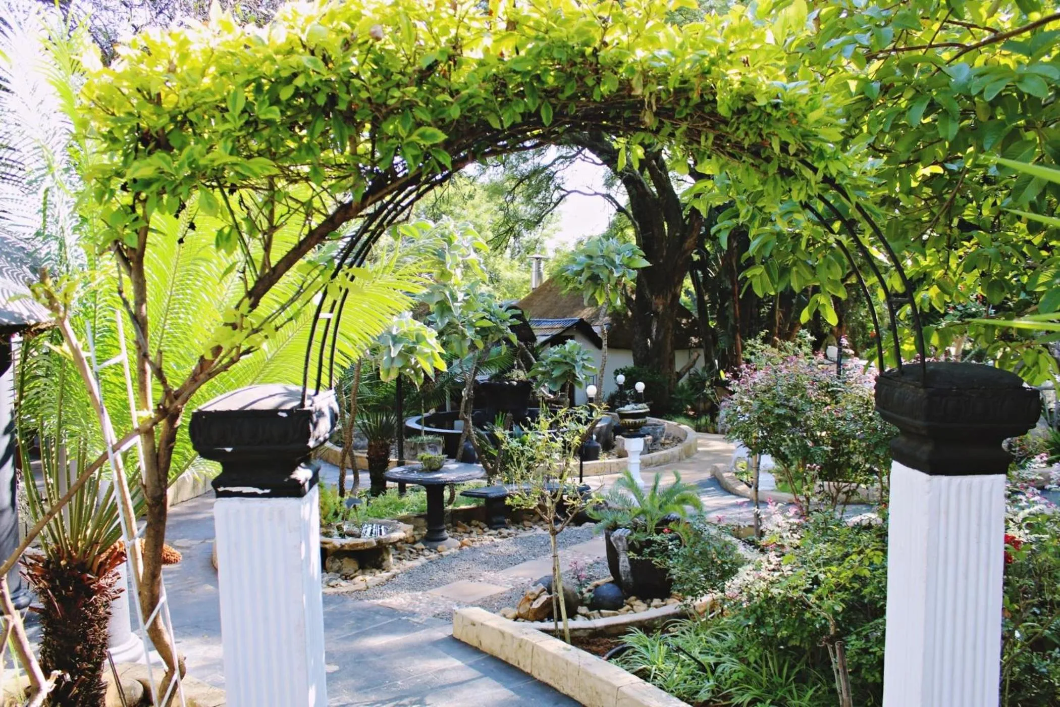 View (from property/room) in BON Hotel Rustenburg