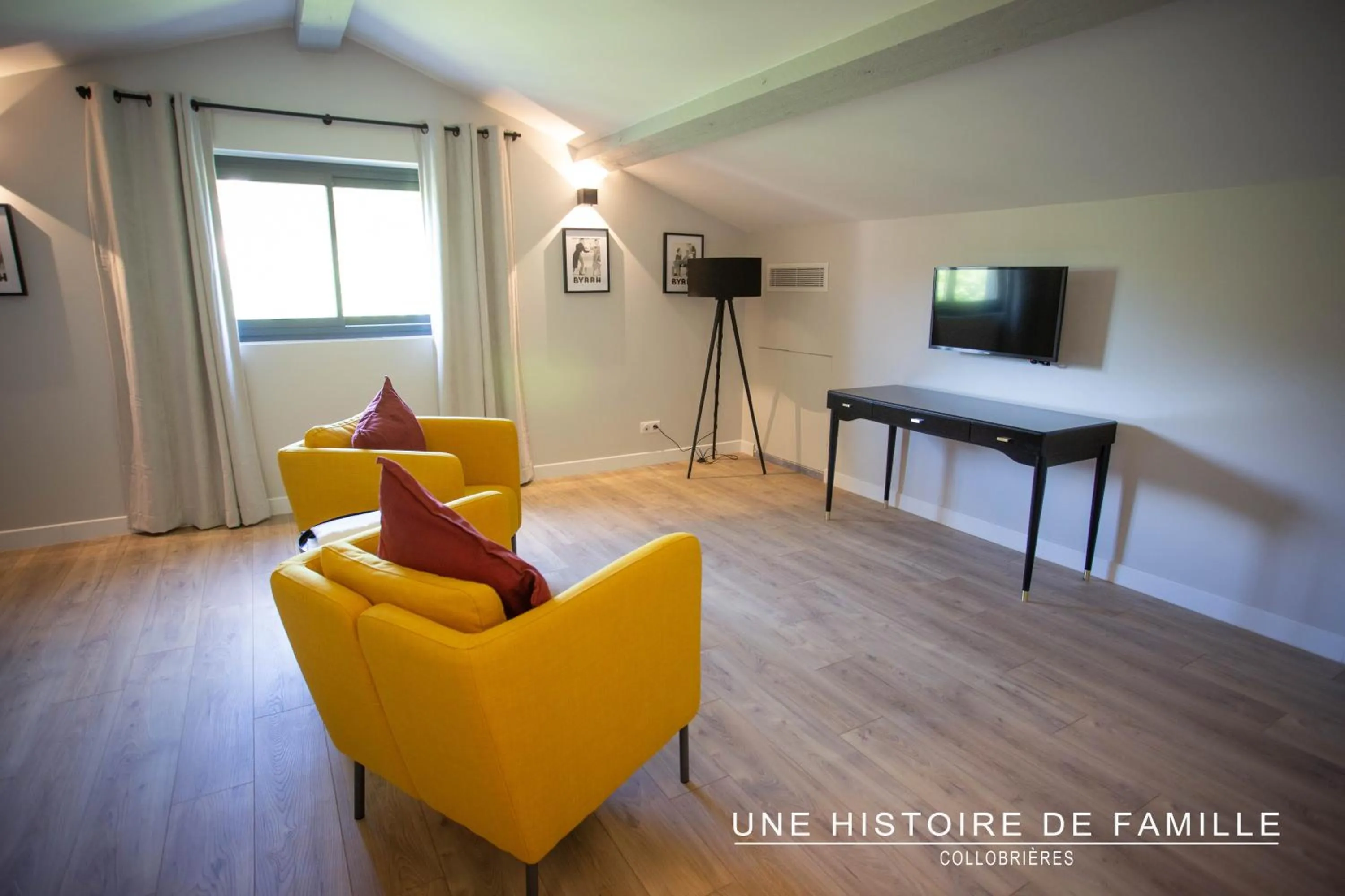 TV and multimedia in UNE HISTOIRE DE FAMILLE