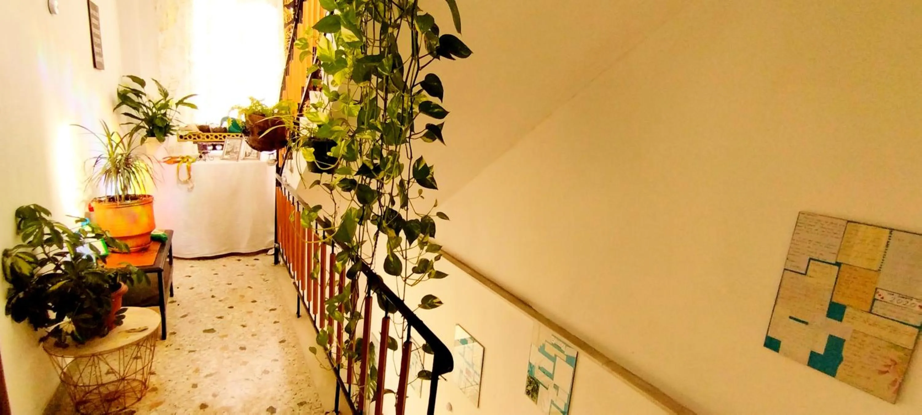 Cozy room in quiet neighbourhood