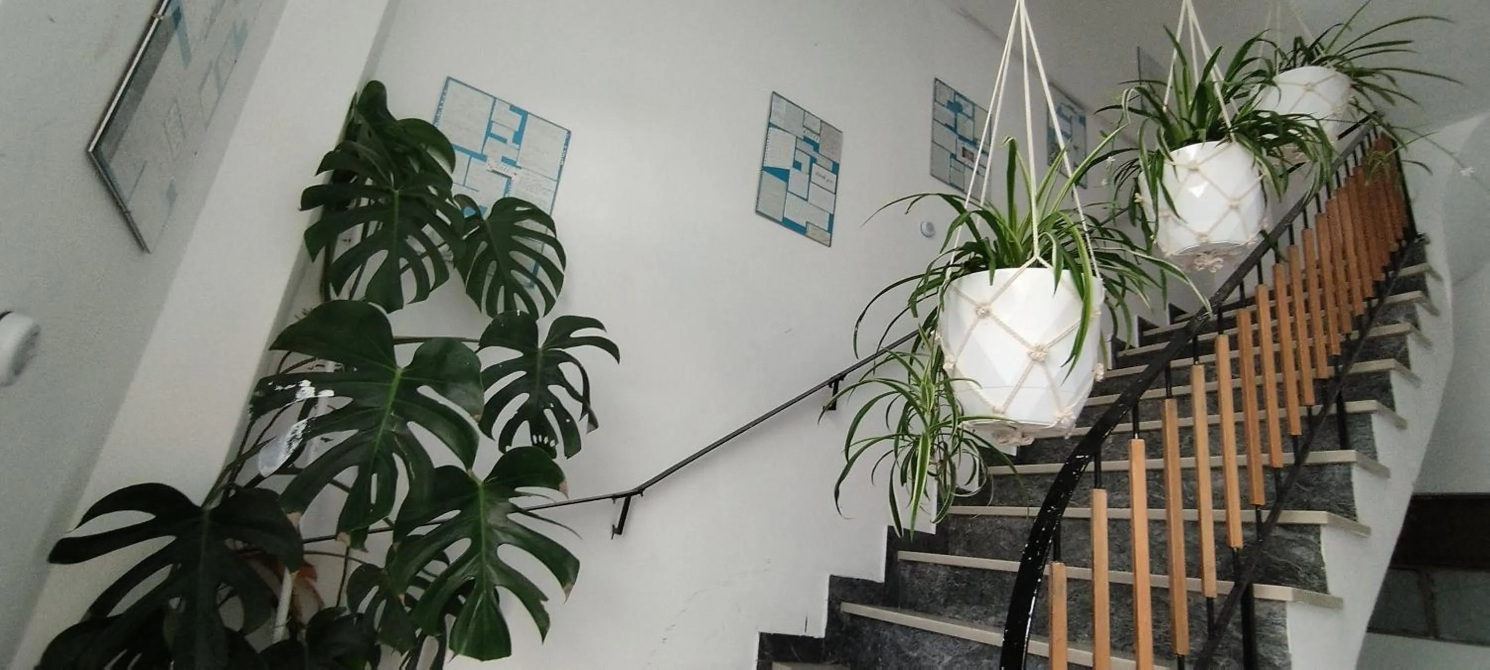 Cozy room in quiet neighbourhood