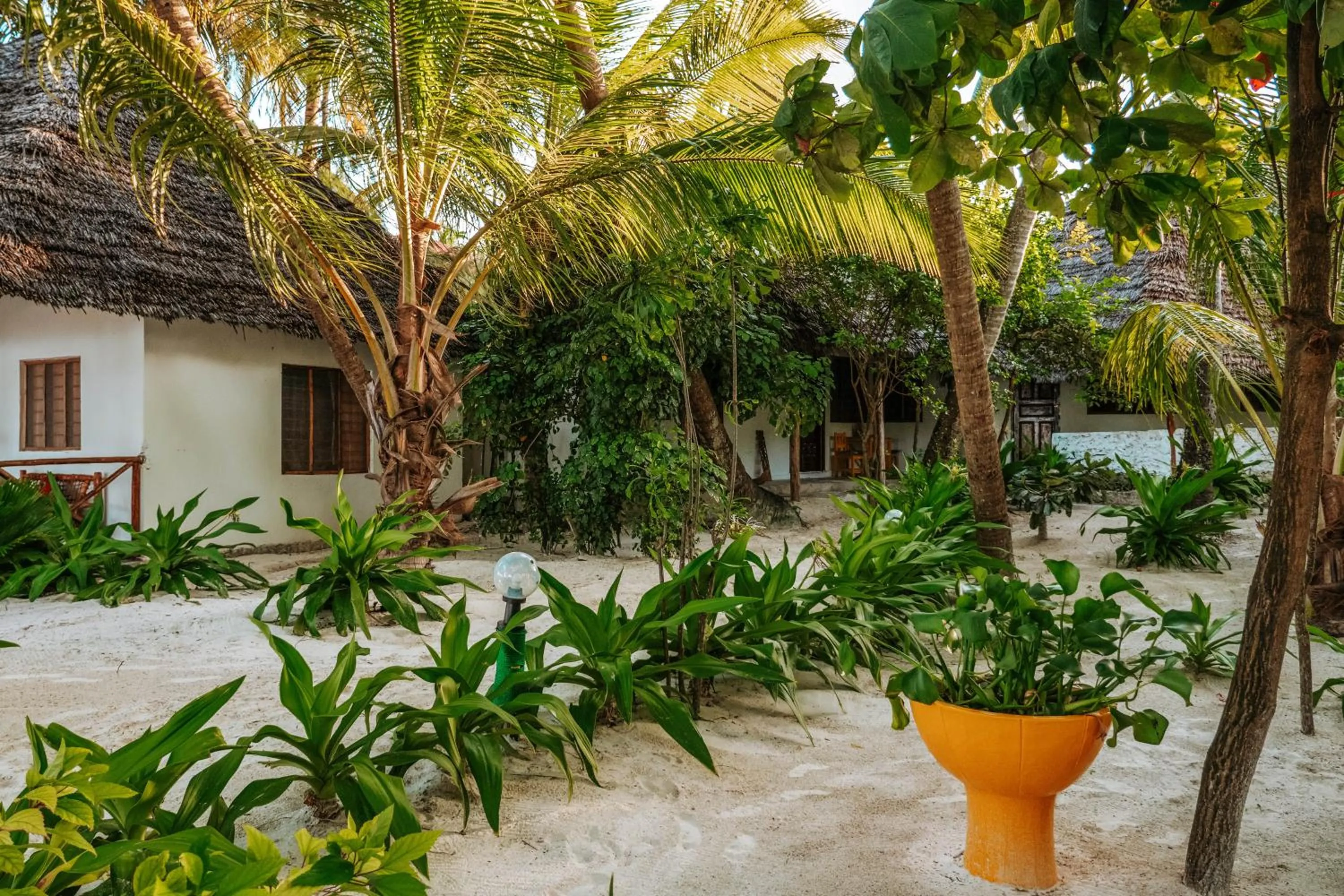 Garden in Zanzibar Gem Beach Bungalows