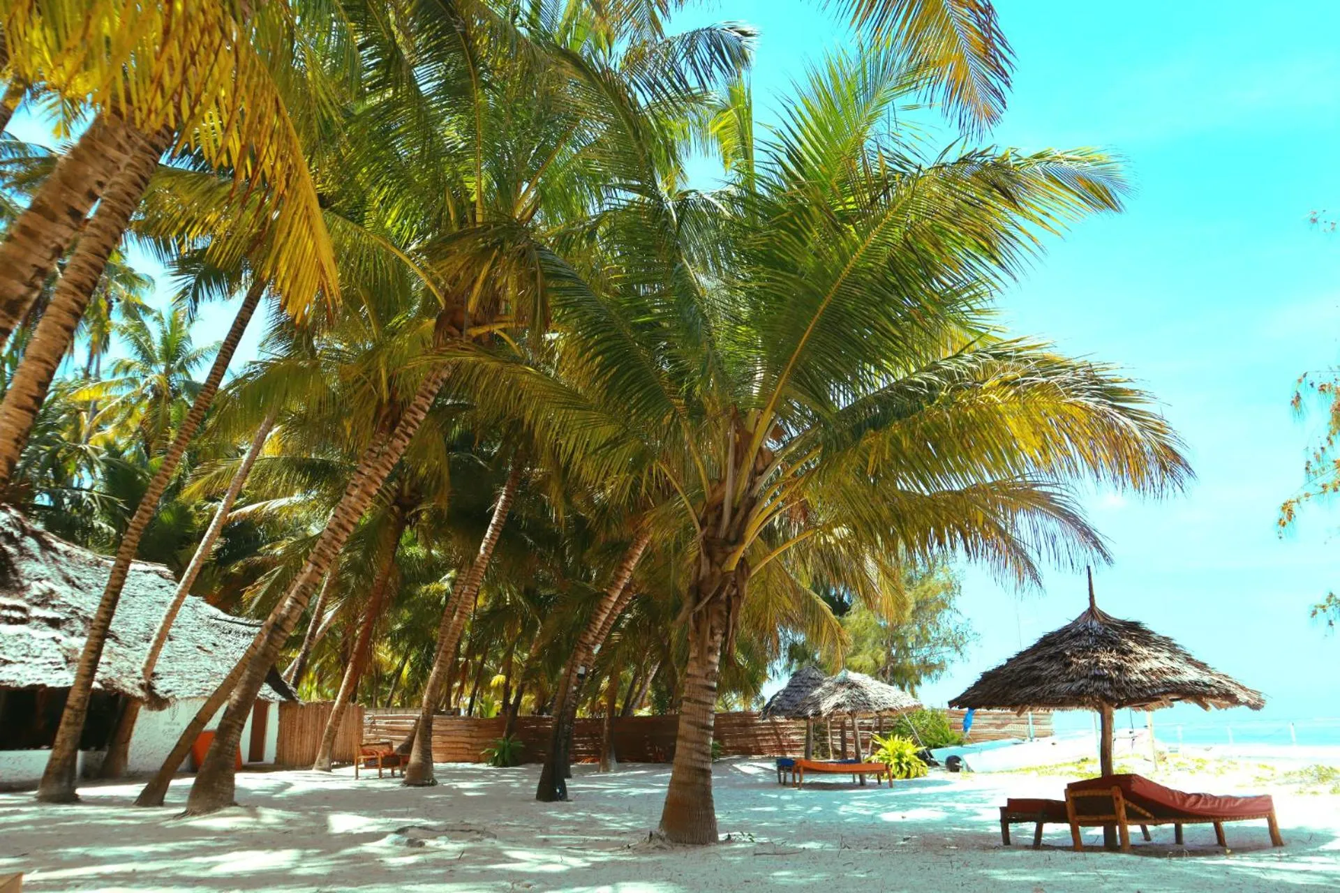 Beach in Zanzibar Gem Beach Bungalows