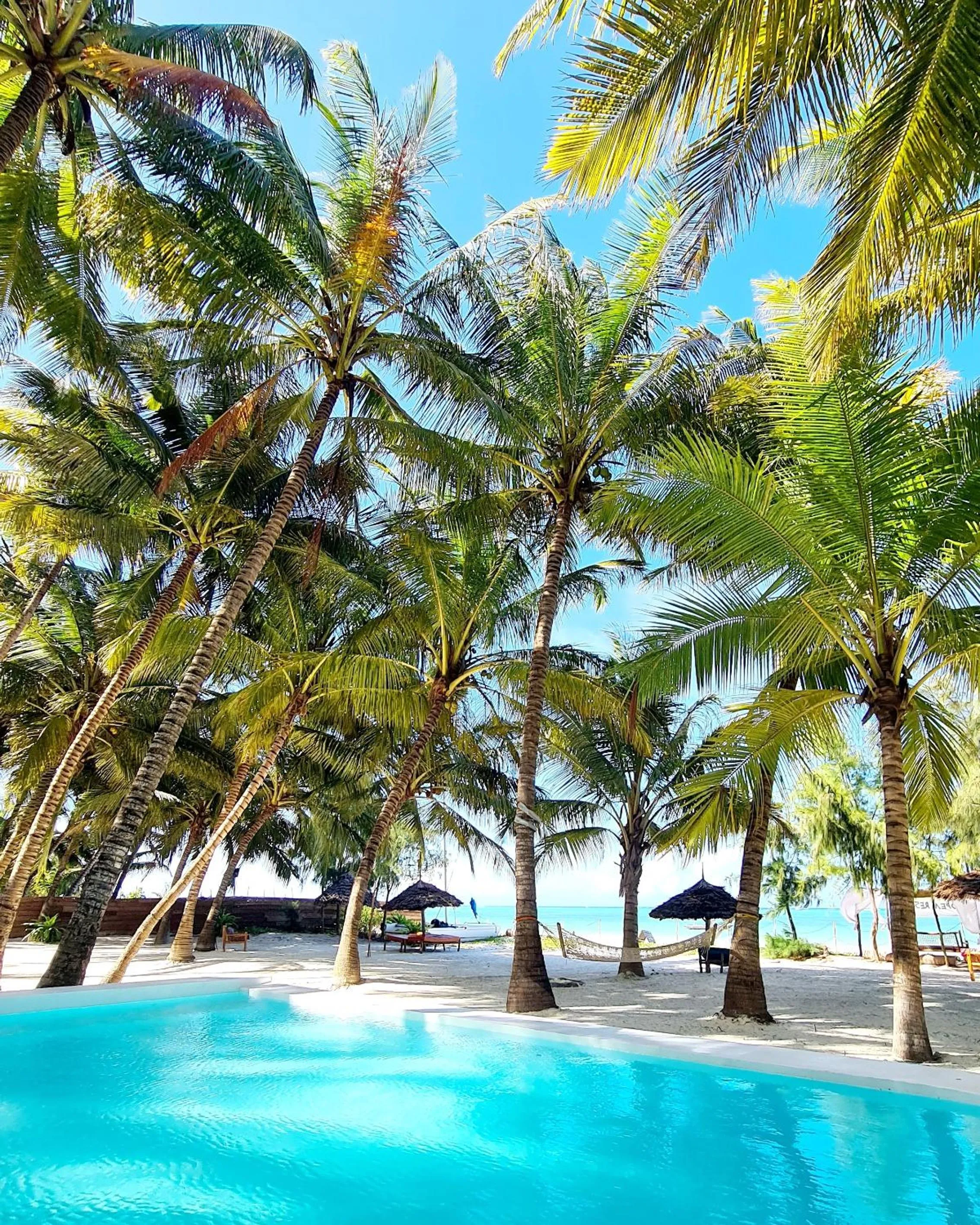 Garden in Zanzibar Gem Beach Bungalows