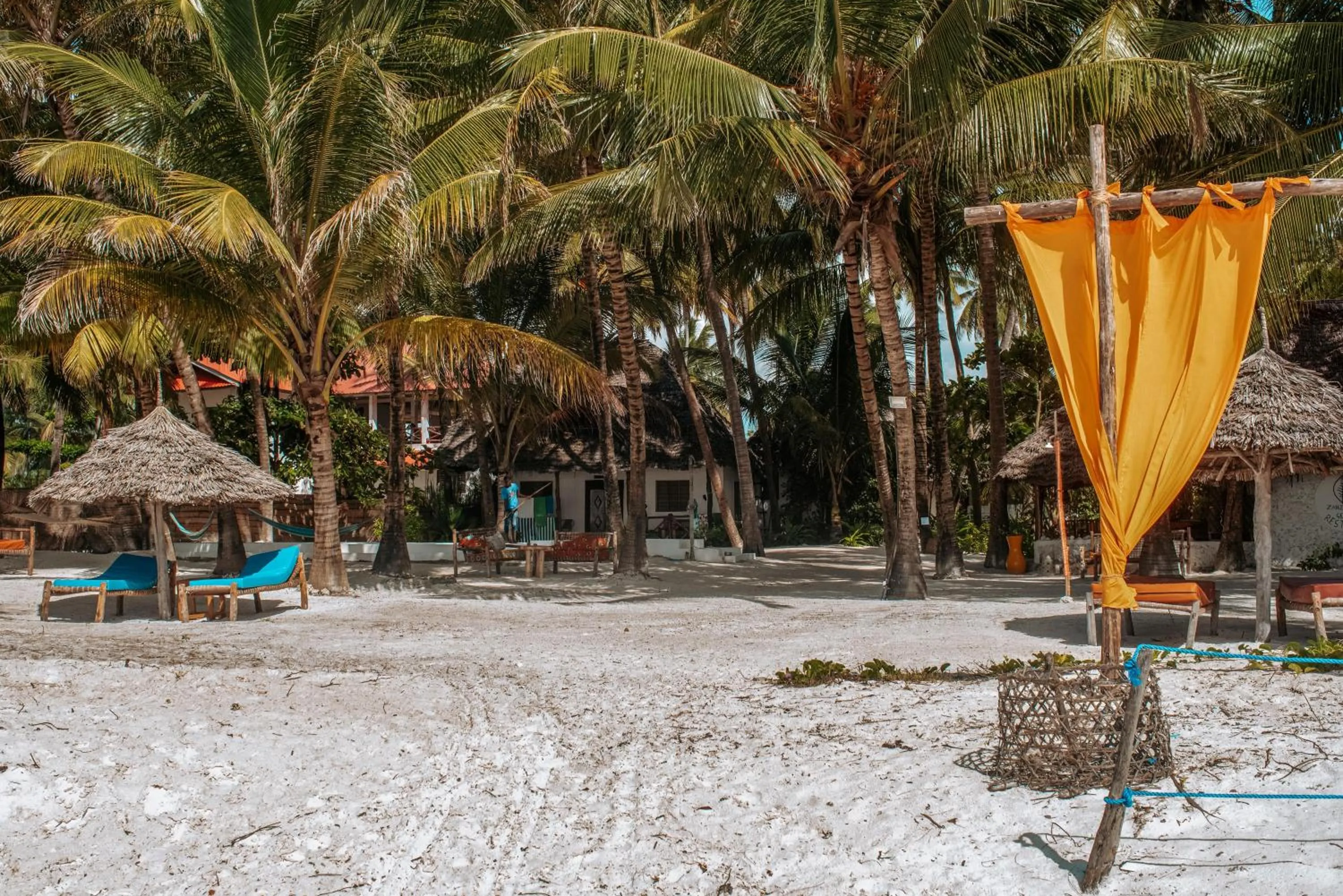 Garden in Zanzibar Gem Beach Bungalows