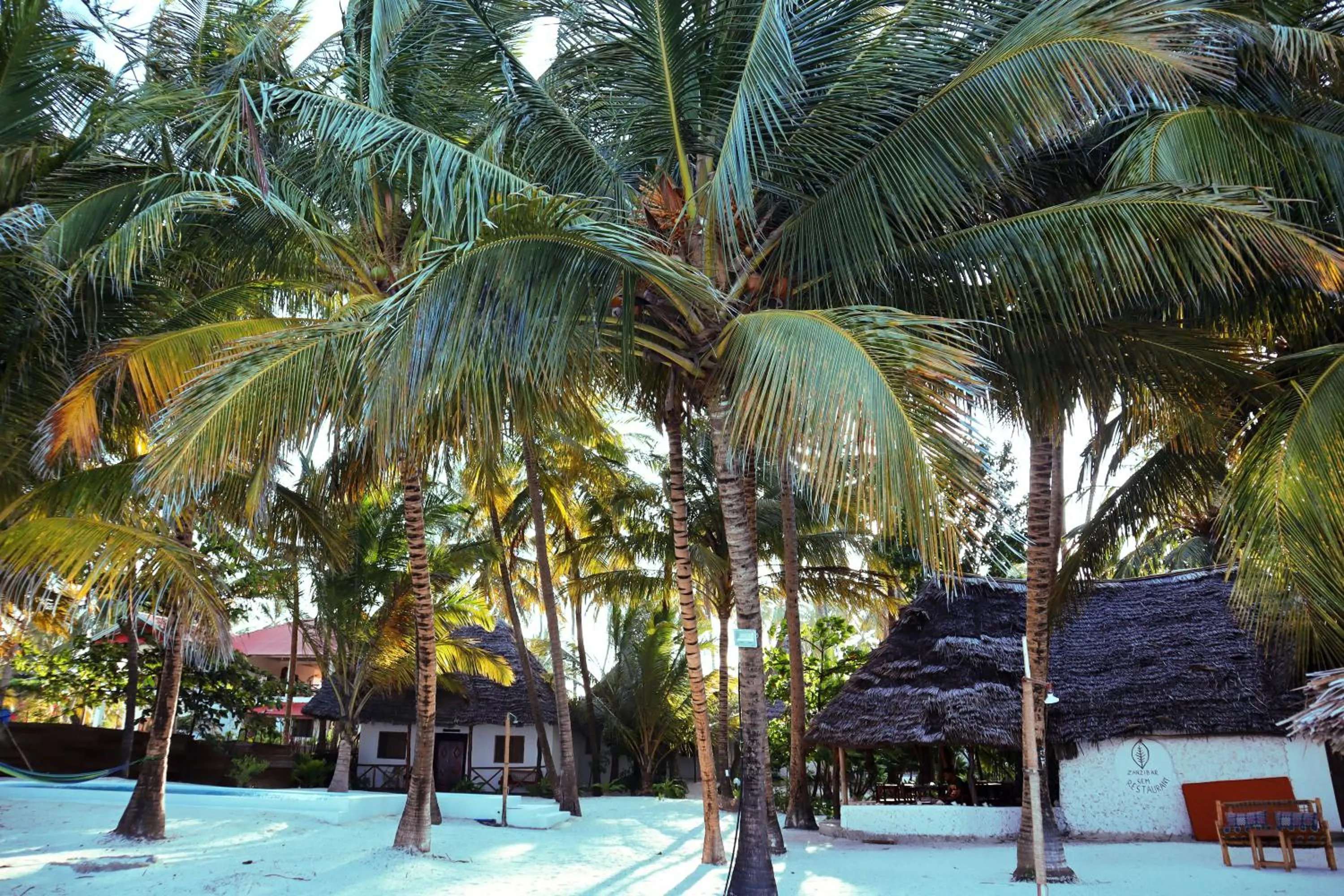 Day in Zanzibar Gem Beach Bungalows