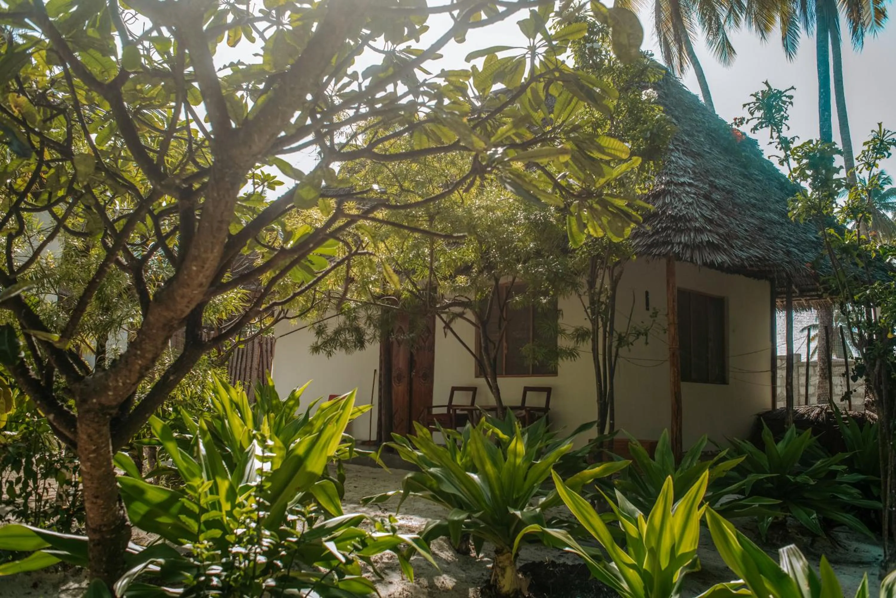 Property building in Zanzibar Gem Beach Bungalows
