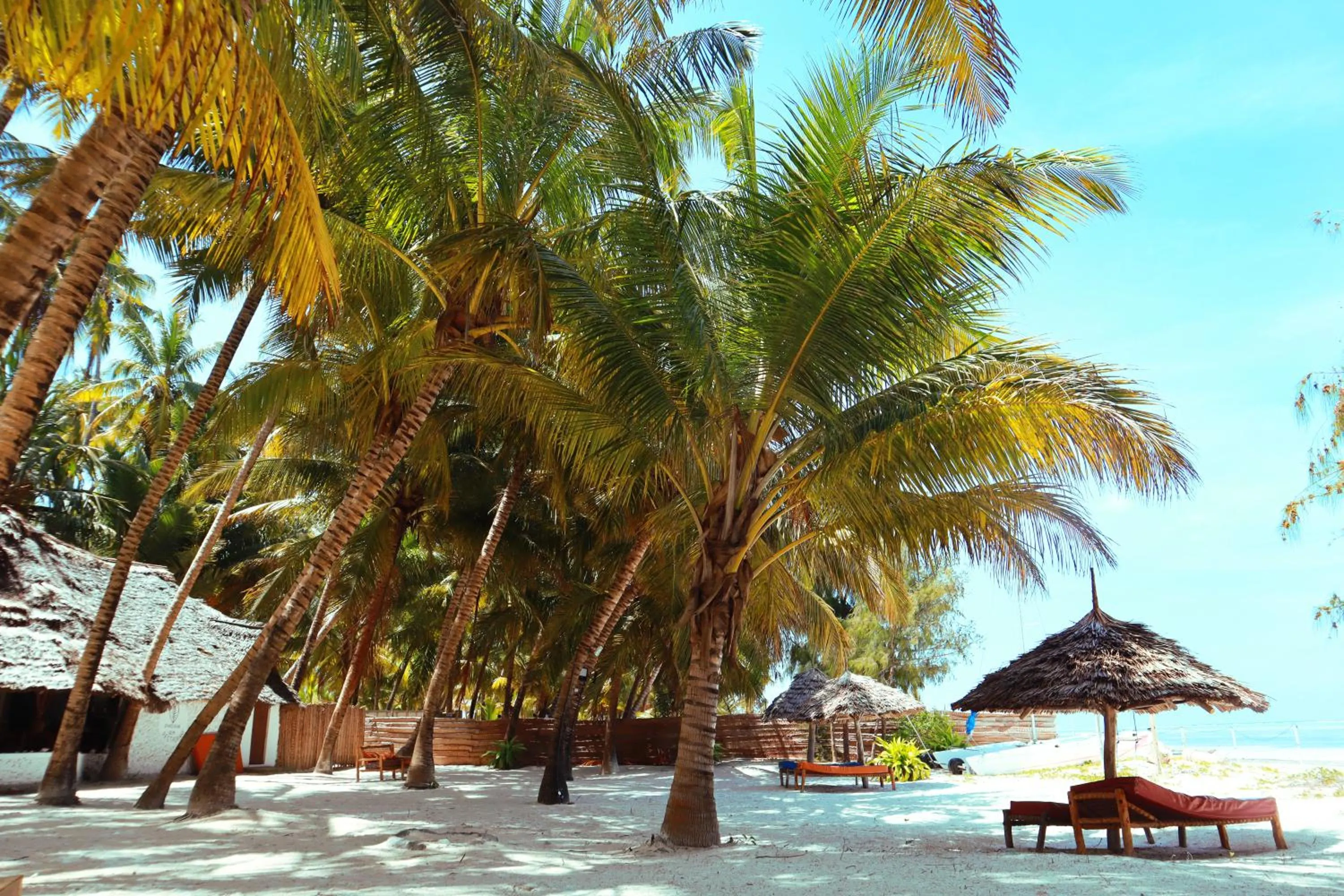 Natural landscape in Zanzibar Gem Beach Bungalows
