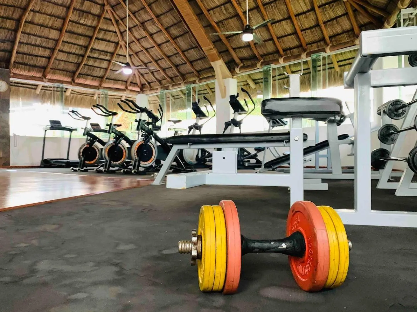 manzanillo villas del palmar