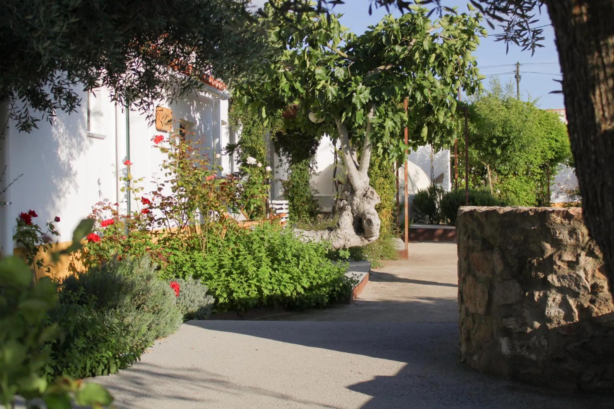 Garden in São Brás do Regedouro - Turismo na Aldeia
