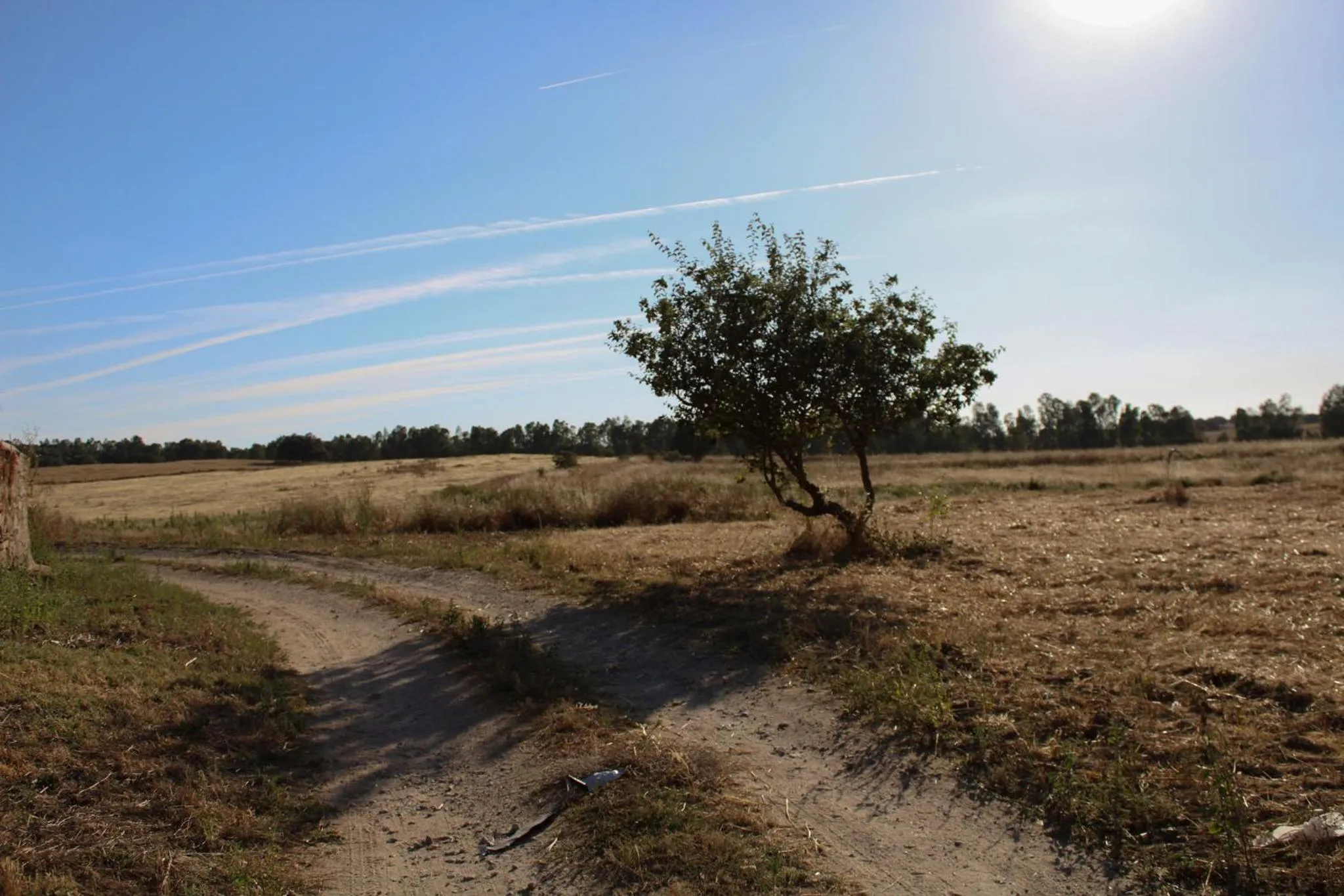 View (from property/room) in São Brás do Regedouro - Turismo na Aldeia