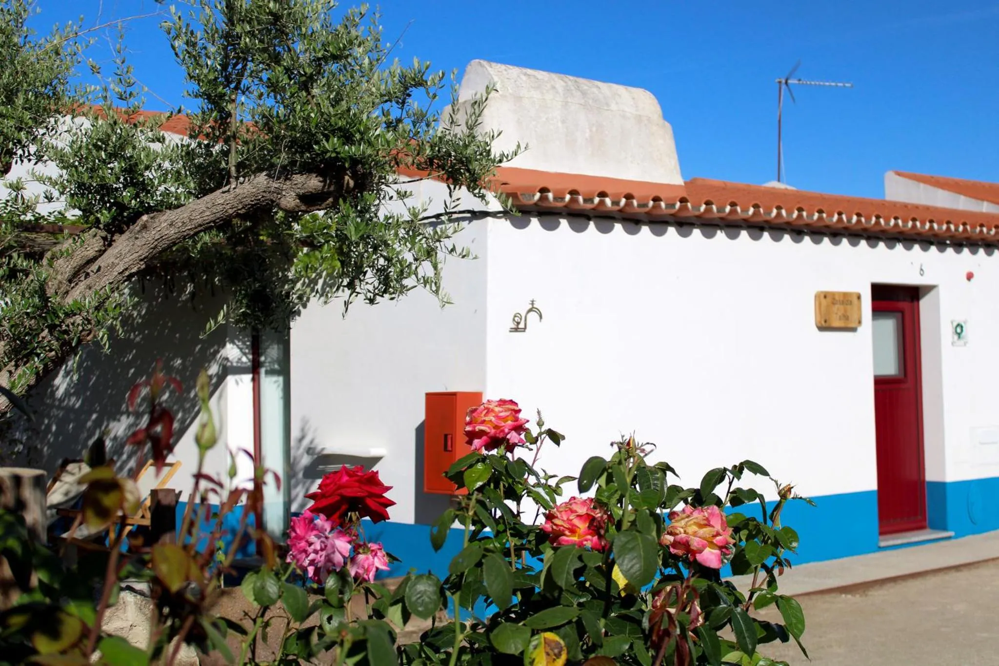 Property building in São Brás do Regedouro - Turismo na Aldeia