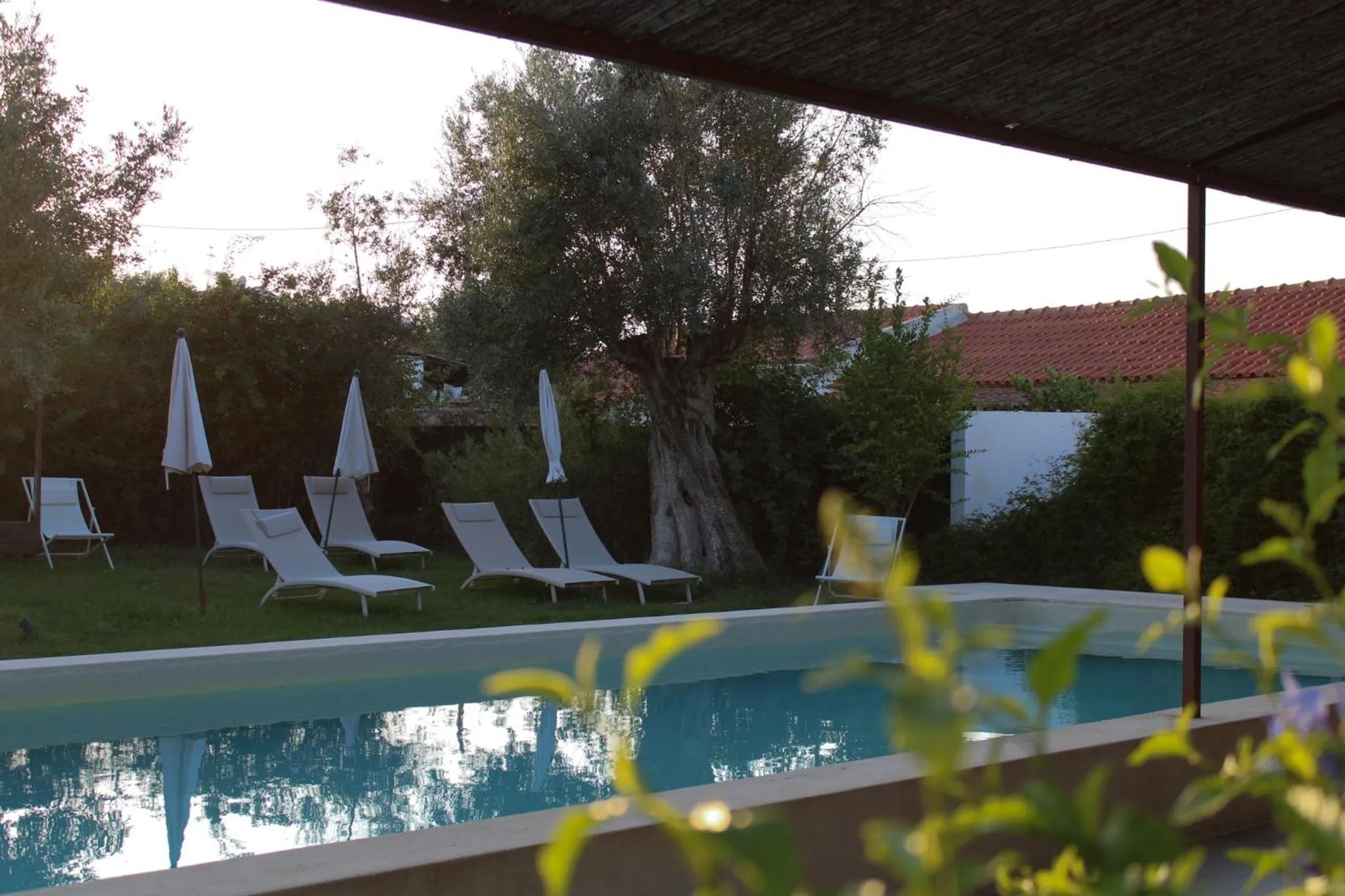 Swimming pool in São Brás do Regedouro - Turismo na Aldeia