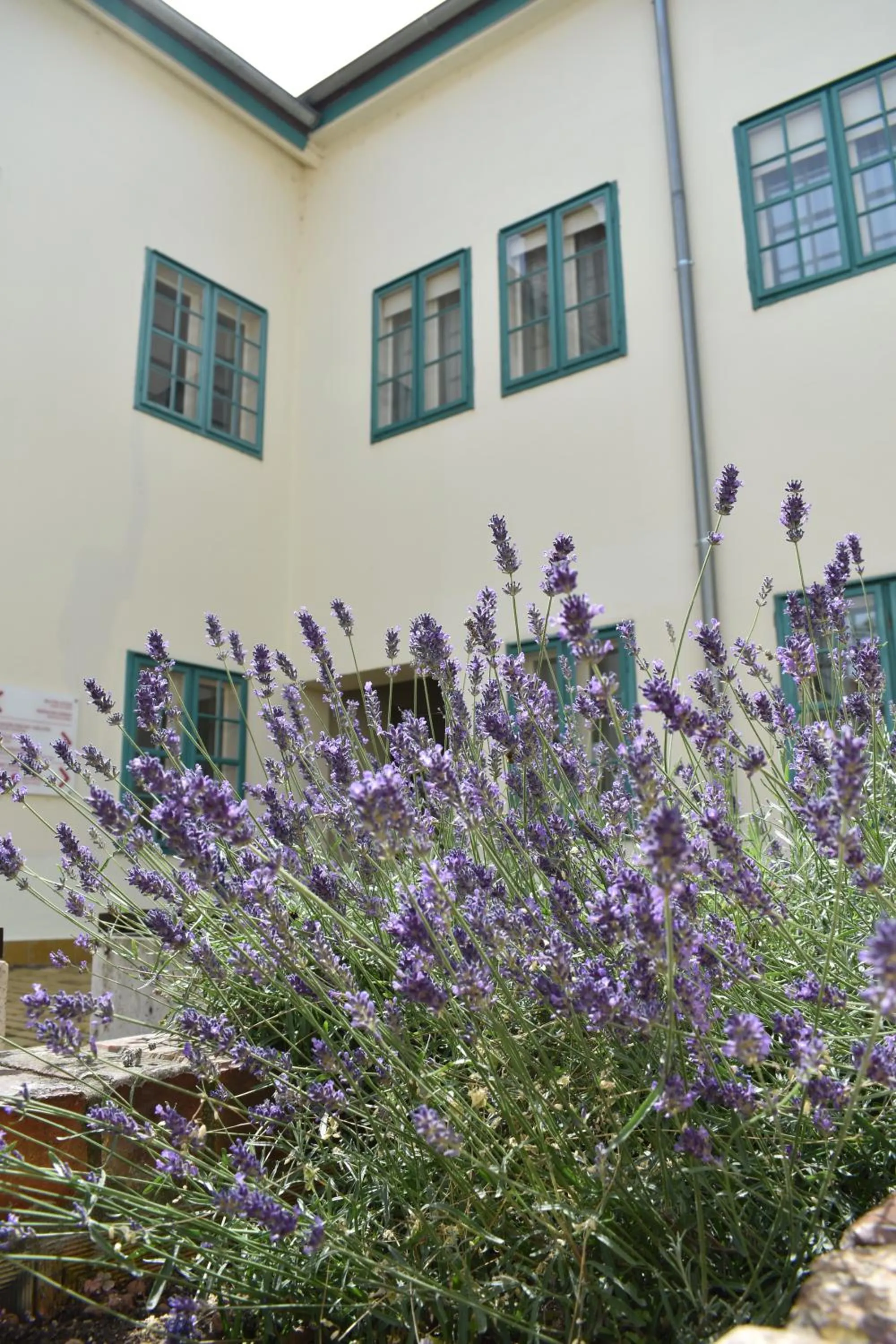 Property building in Zsolnay Negyed Vendégháza