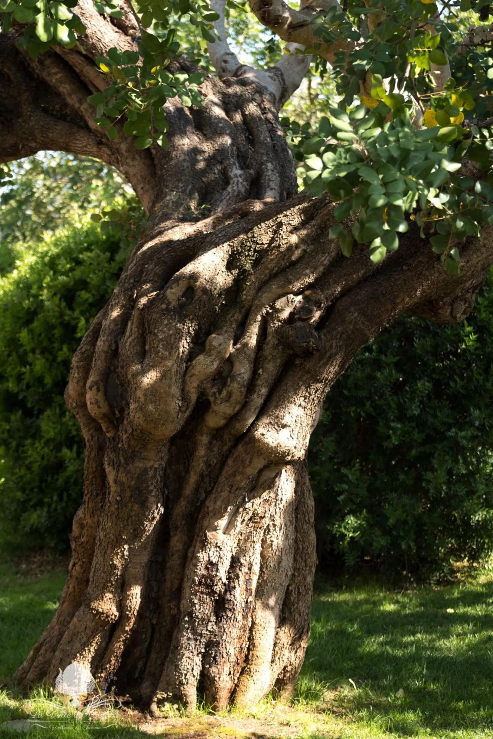 La Valle Del Cristallo Wellness & Charme