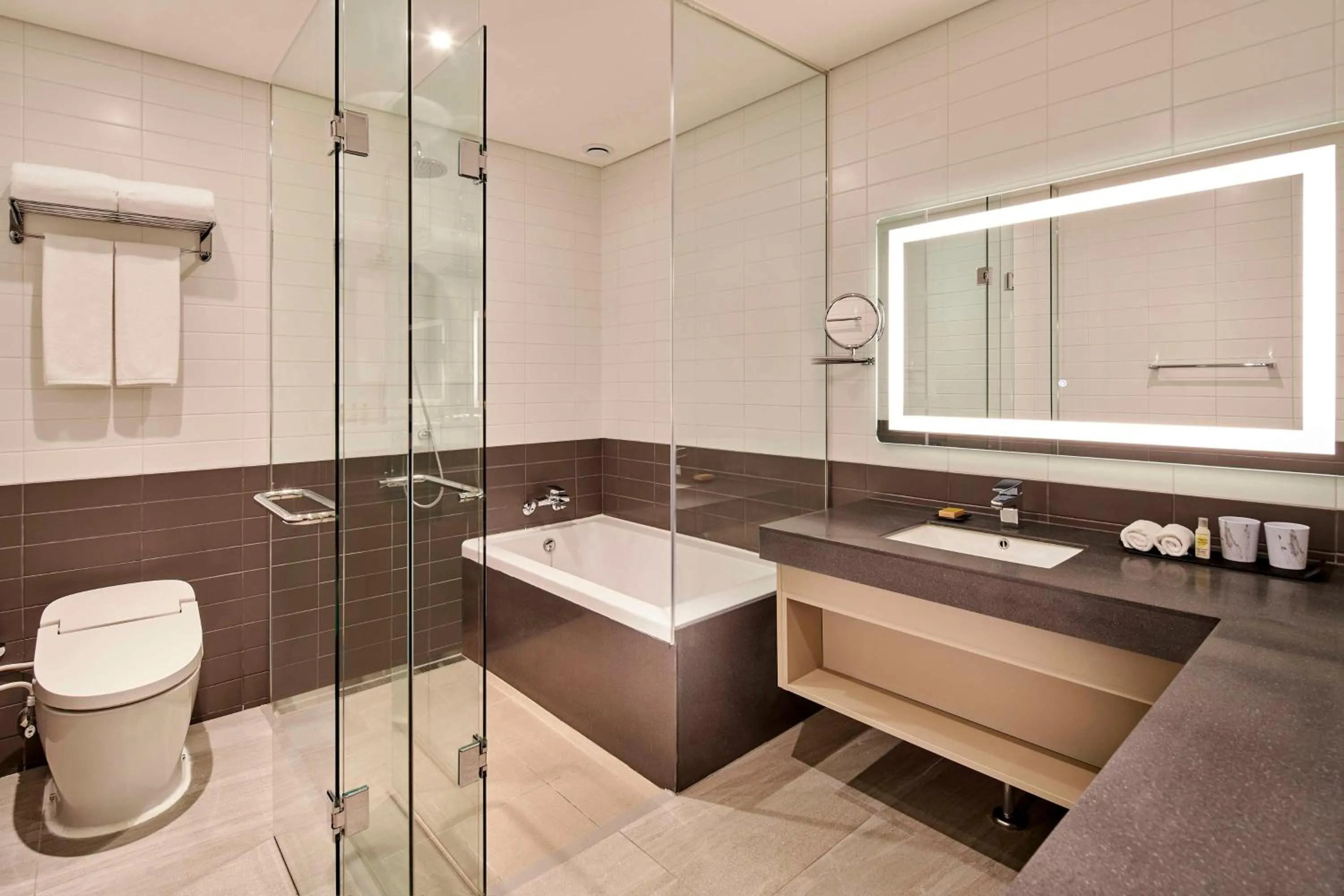 Bathroom in Hilton Garden Inn Seoul Gangnam