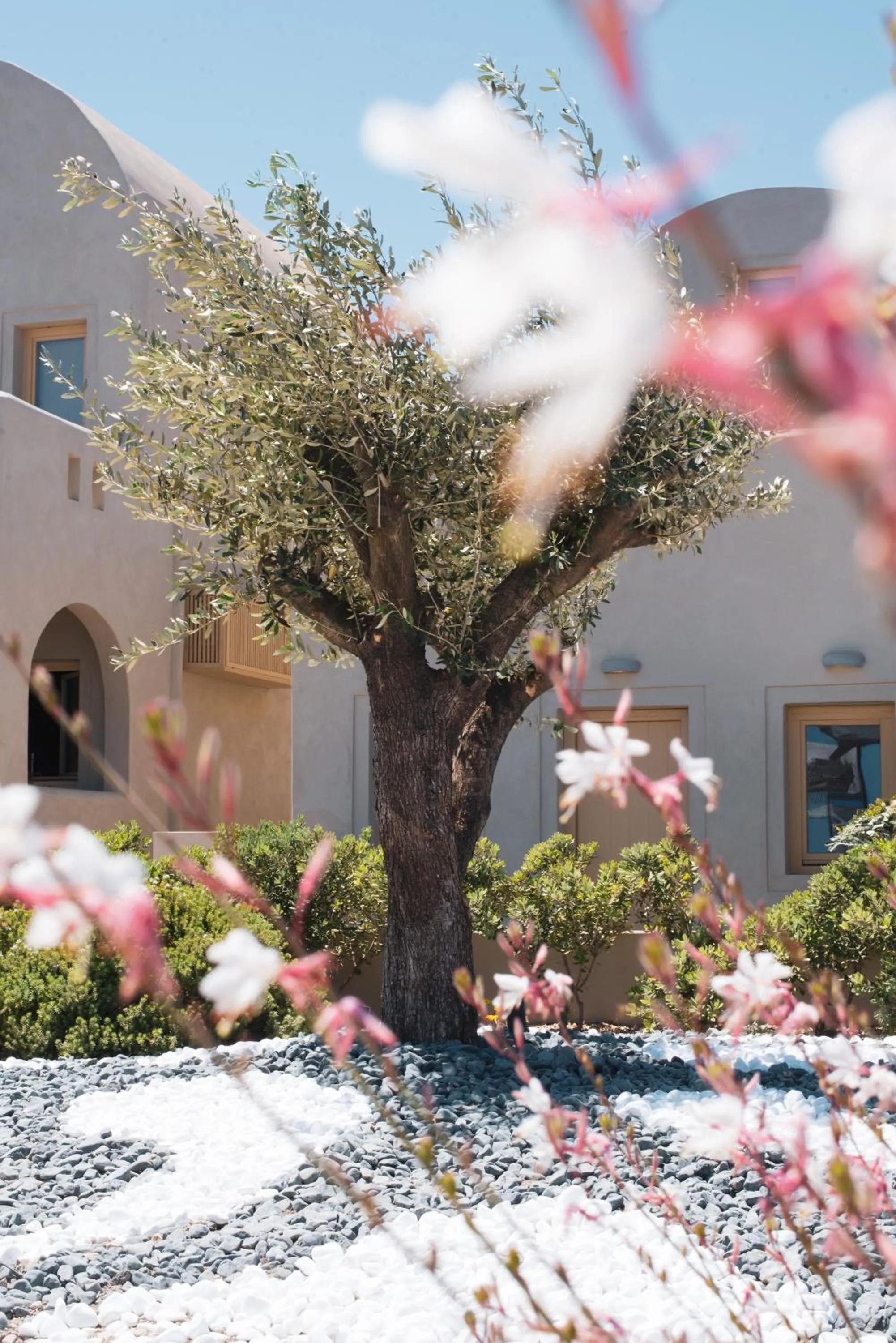 Property building in Colombos Beachfront