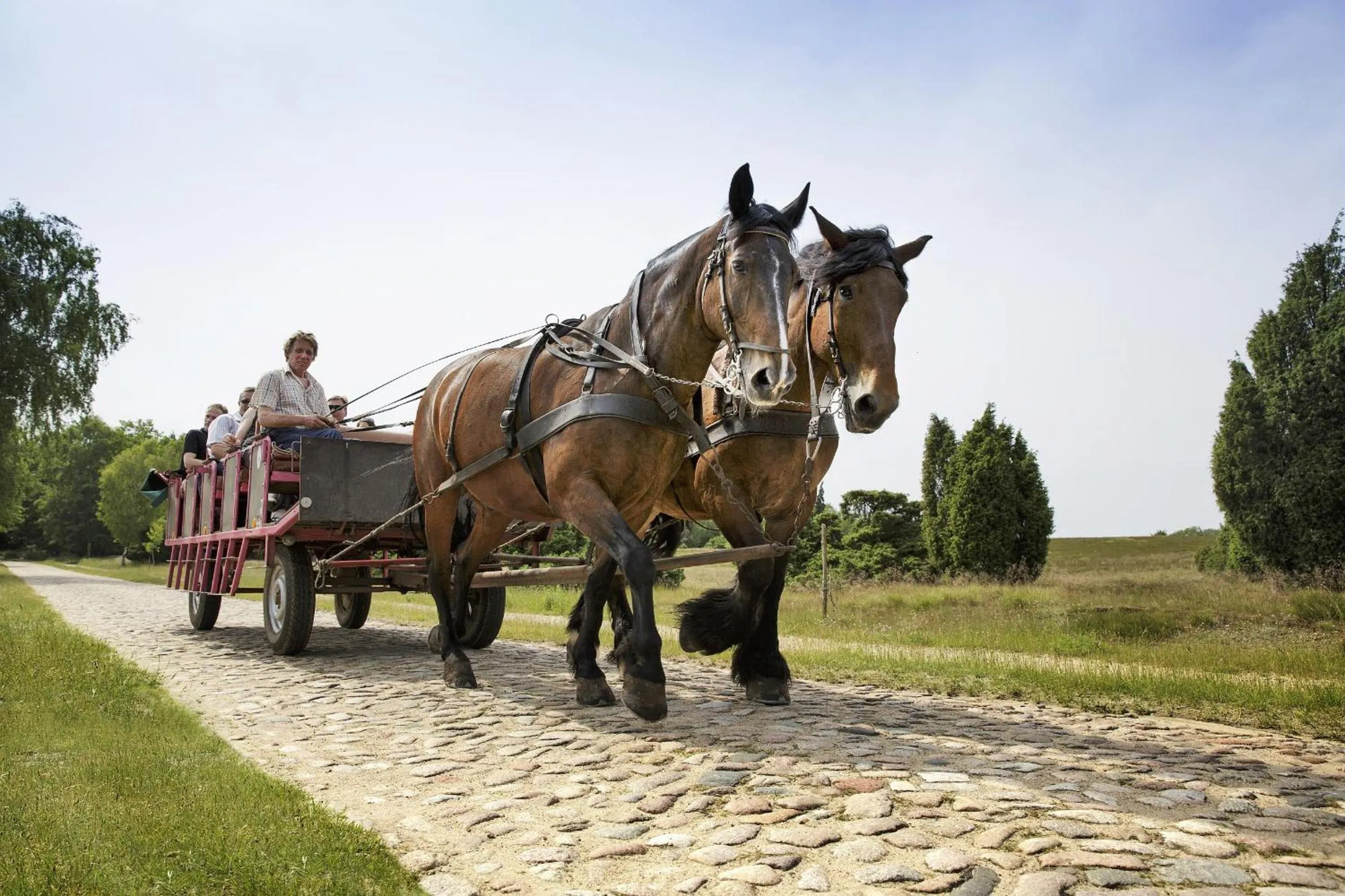 Horse-riding in Center Parcs Bispinger Lüneburger Heide