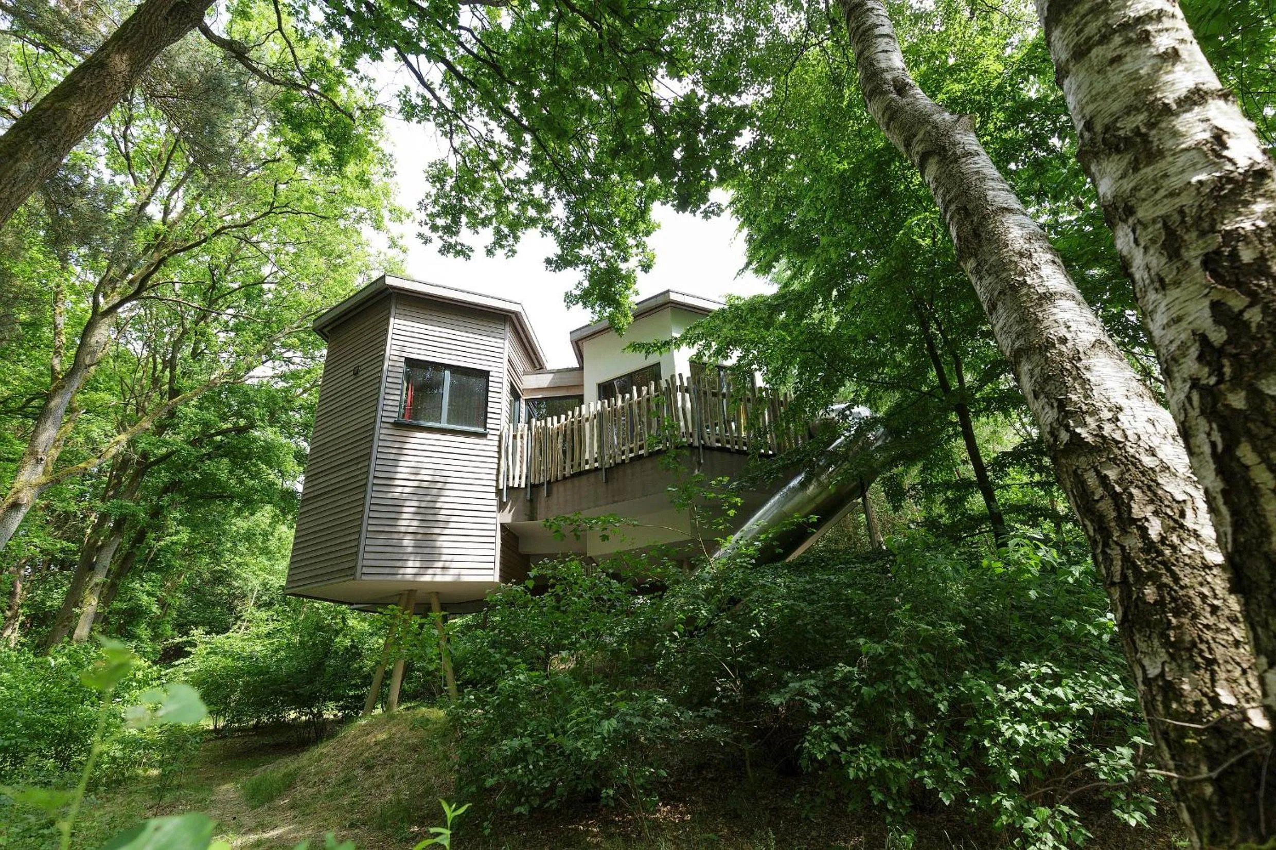 View (from property/room) in Center Parcs Bispinger Lüneburger Heide