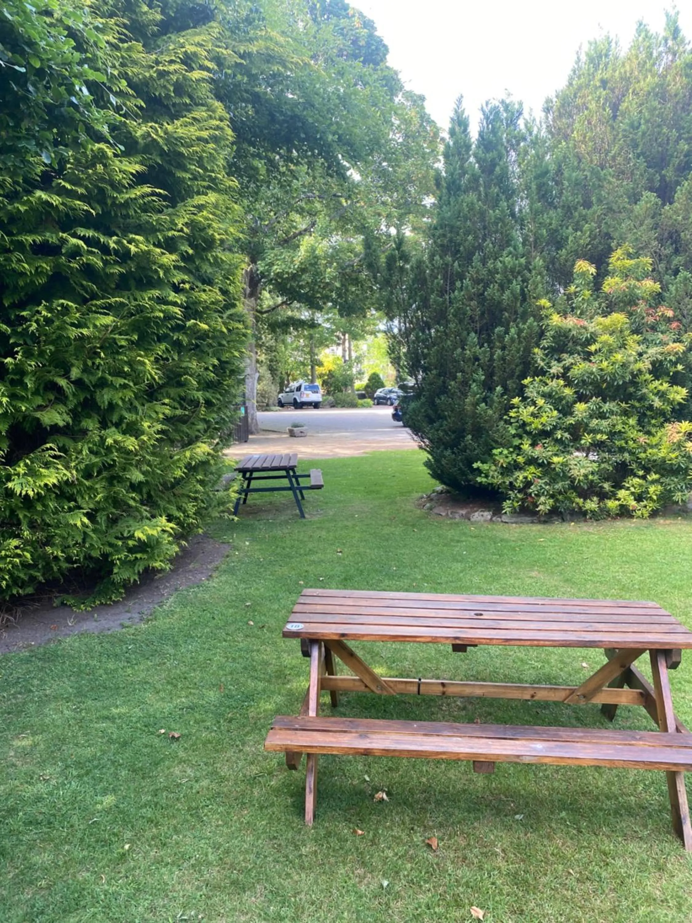 View (from property/room) in Bennachie Lodge Hotel in Kemnay