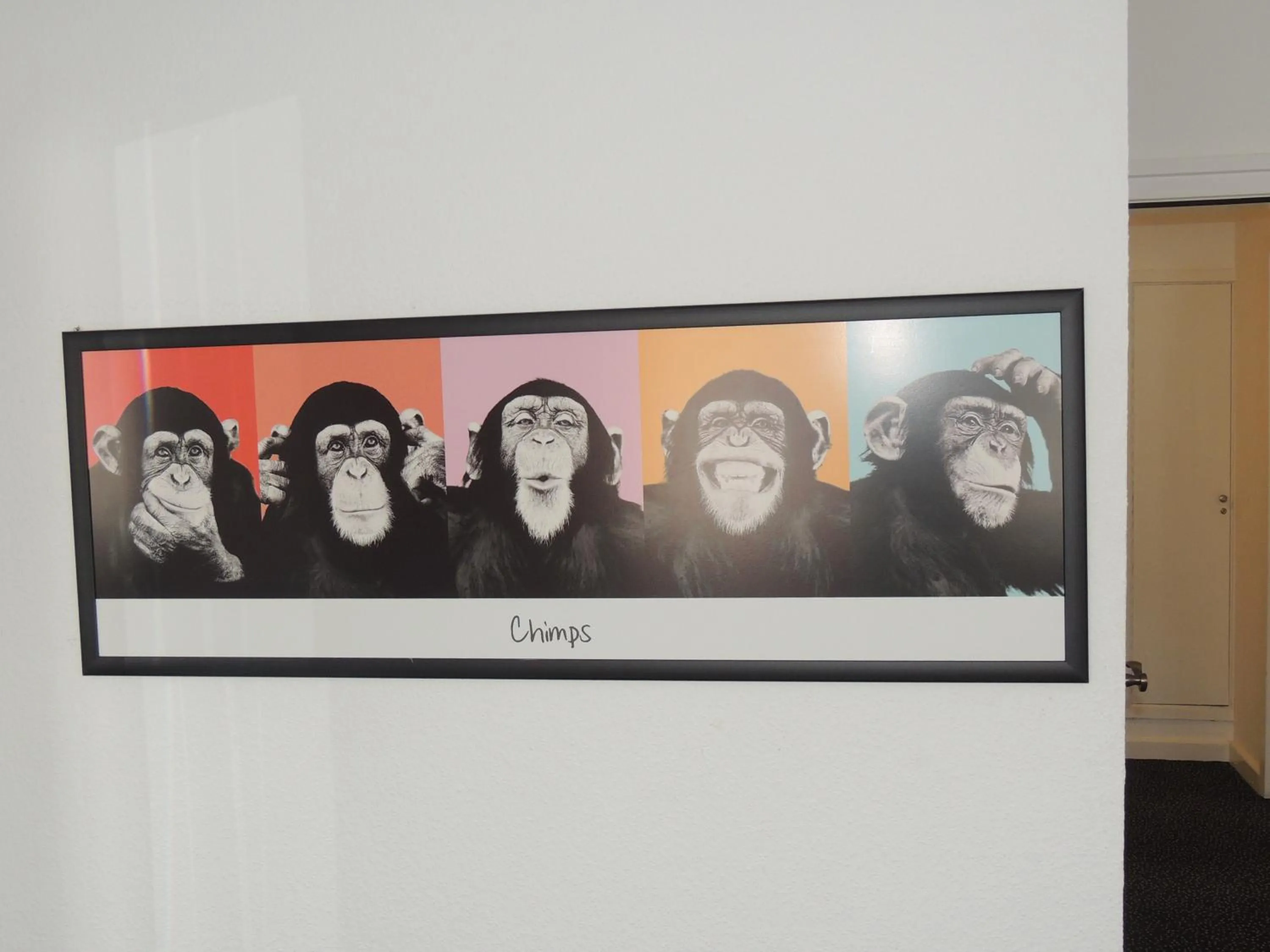 Decorative detail in Deutsches Haus Munster