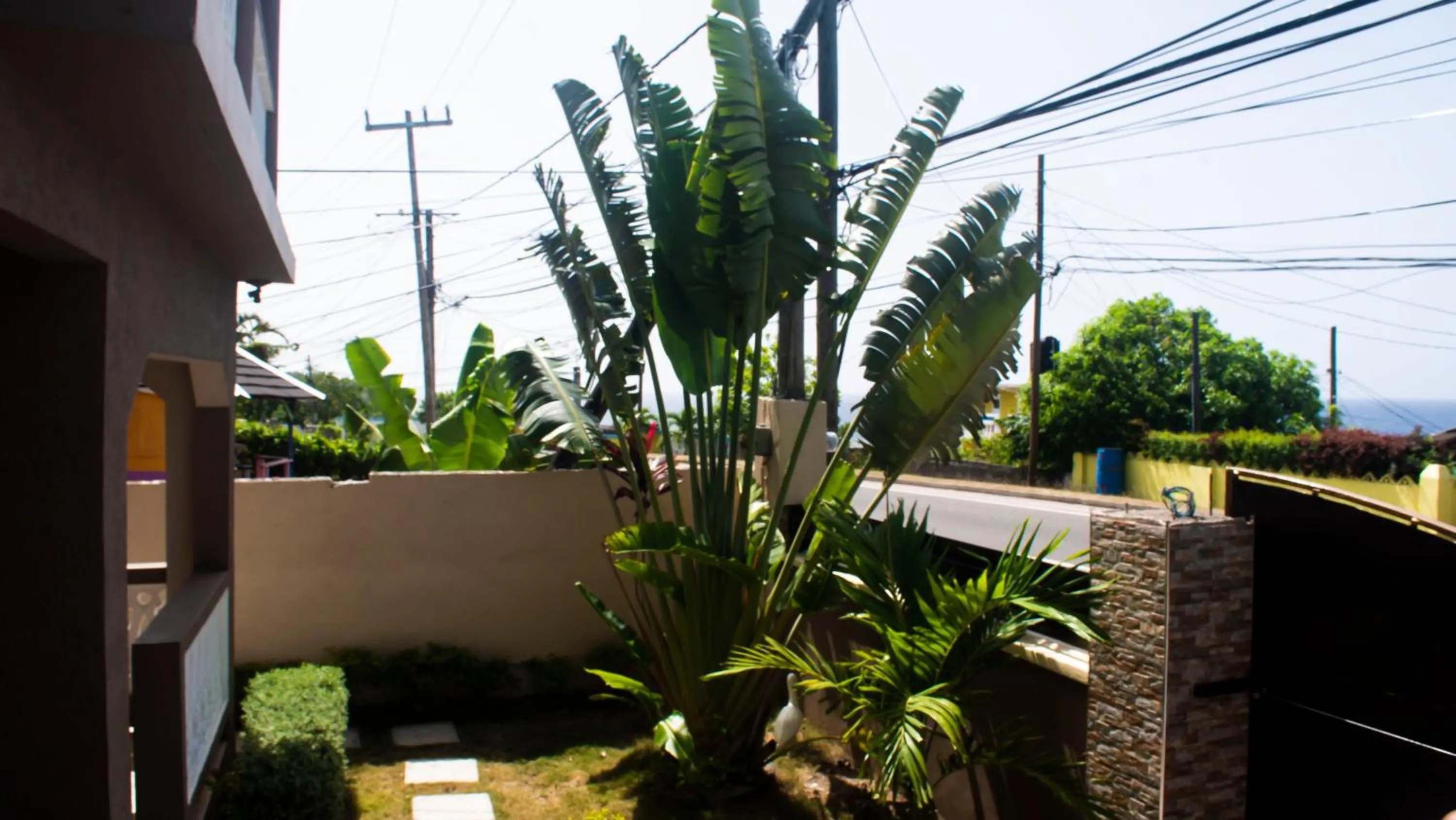 Property building in Sunset Nabro