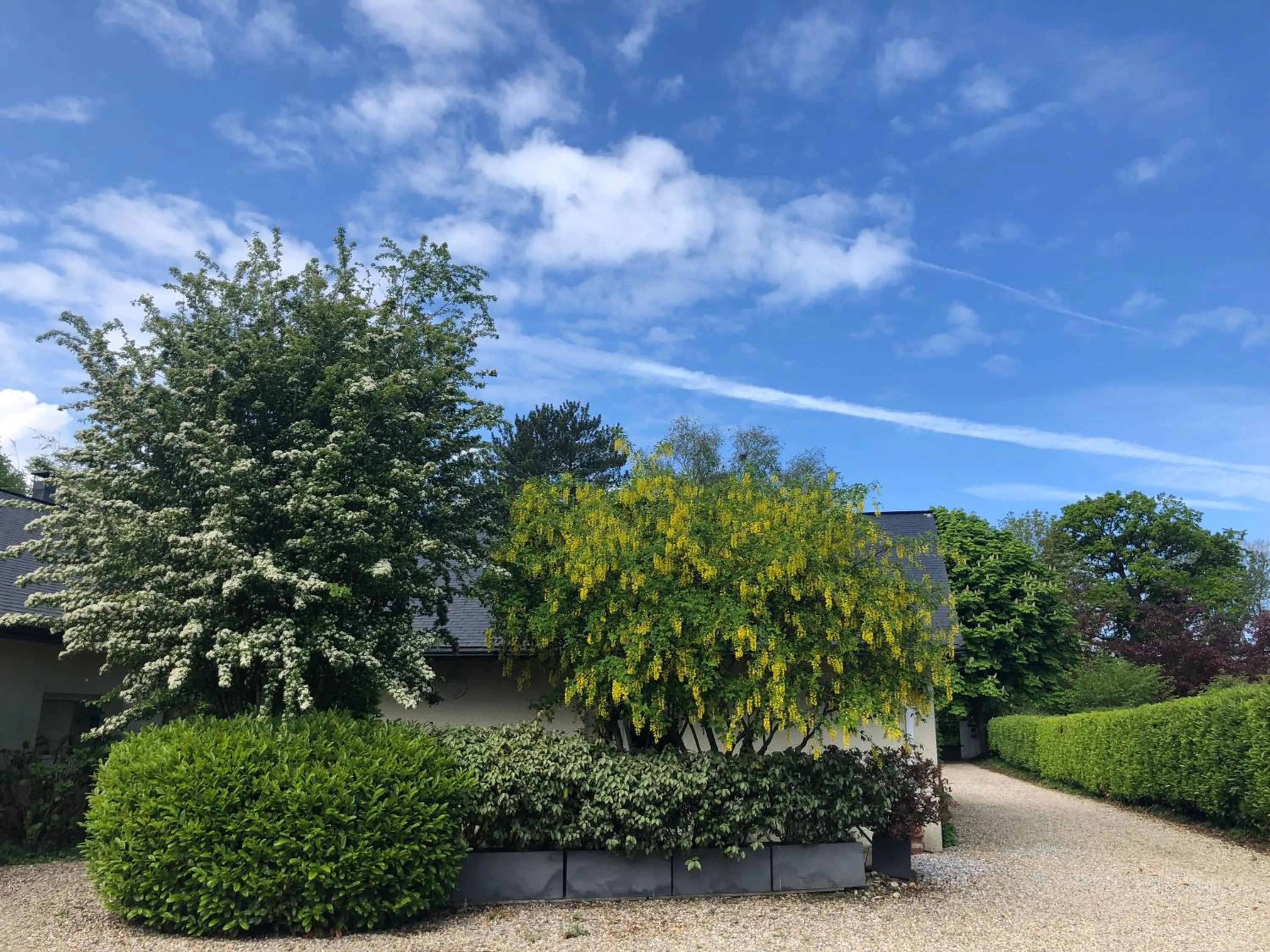 Garden in Jardin des Pérelles