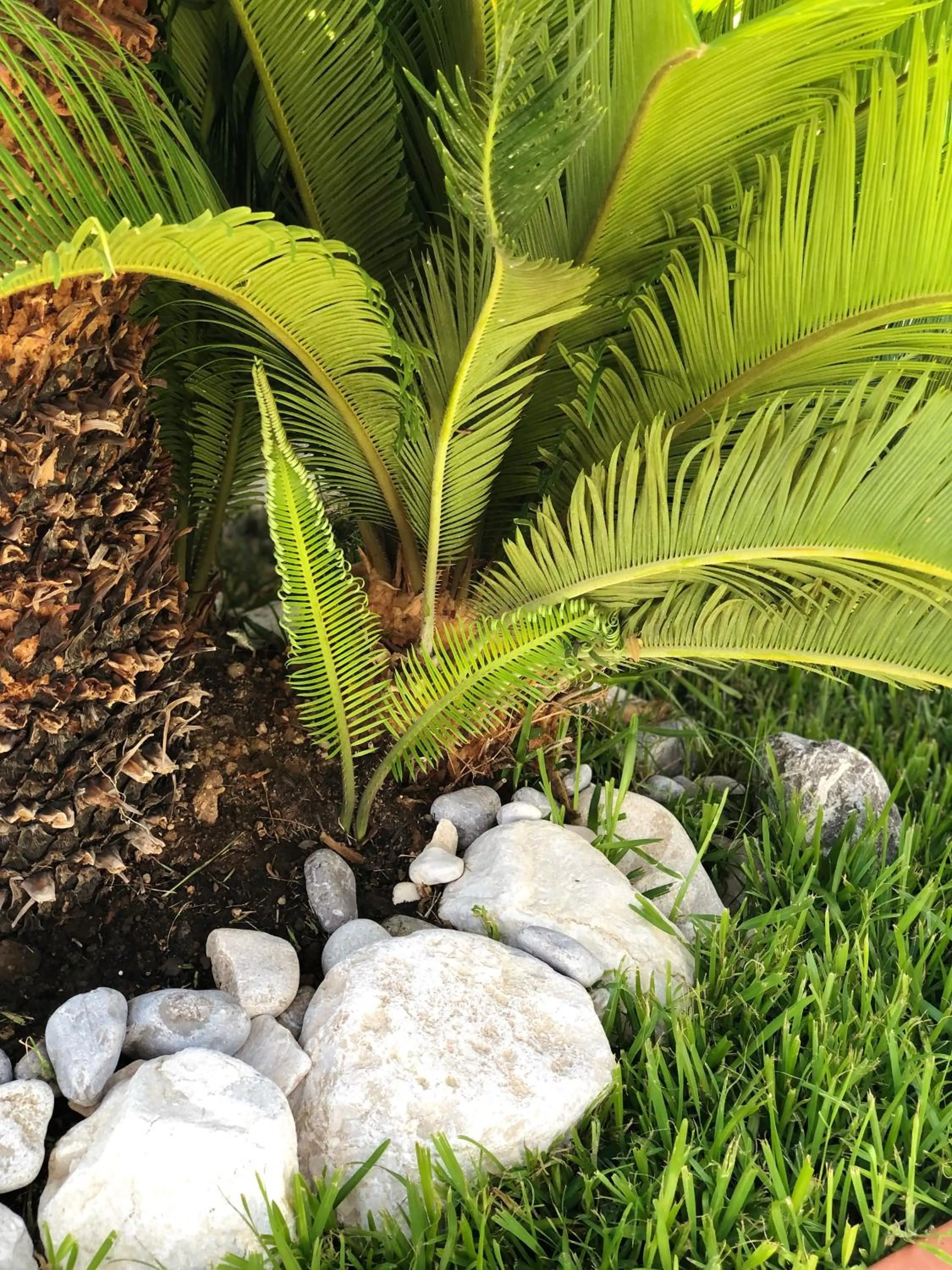 Garden view in InVilla Bed&Breakfast - Quality Rooms