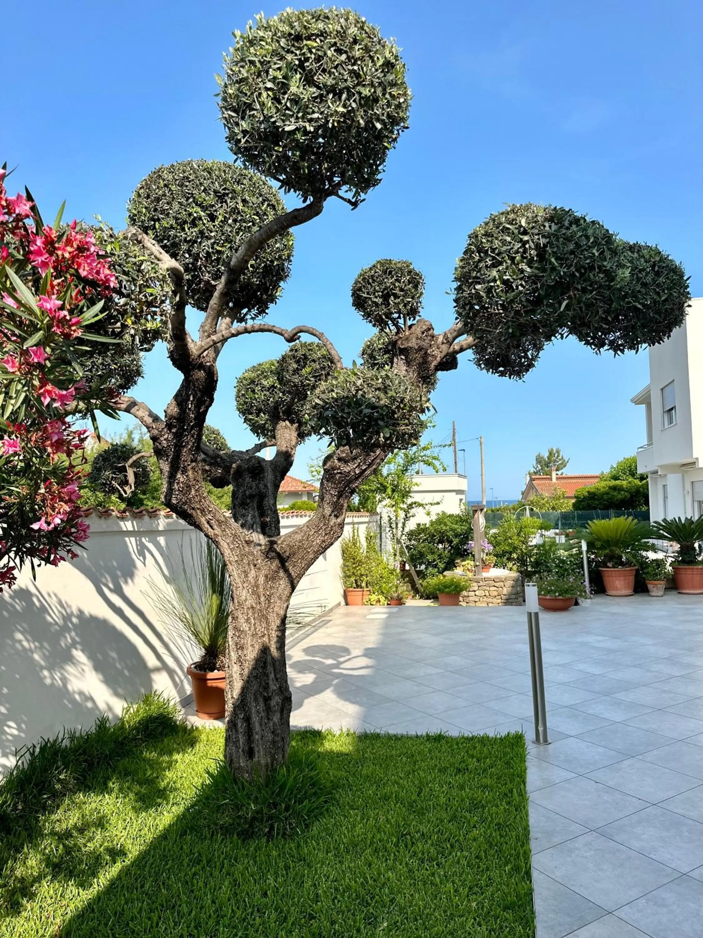 Garden view in InVilla Bed&Breakfast - Quality Rooms