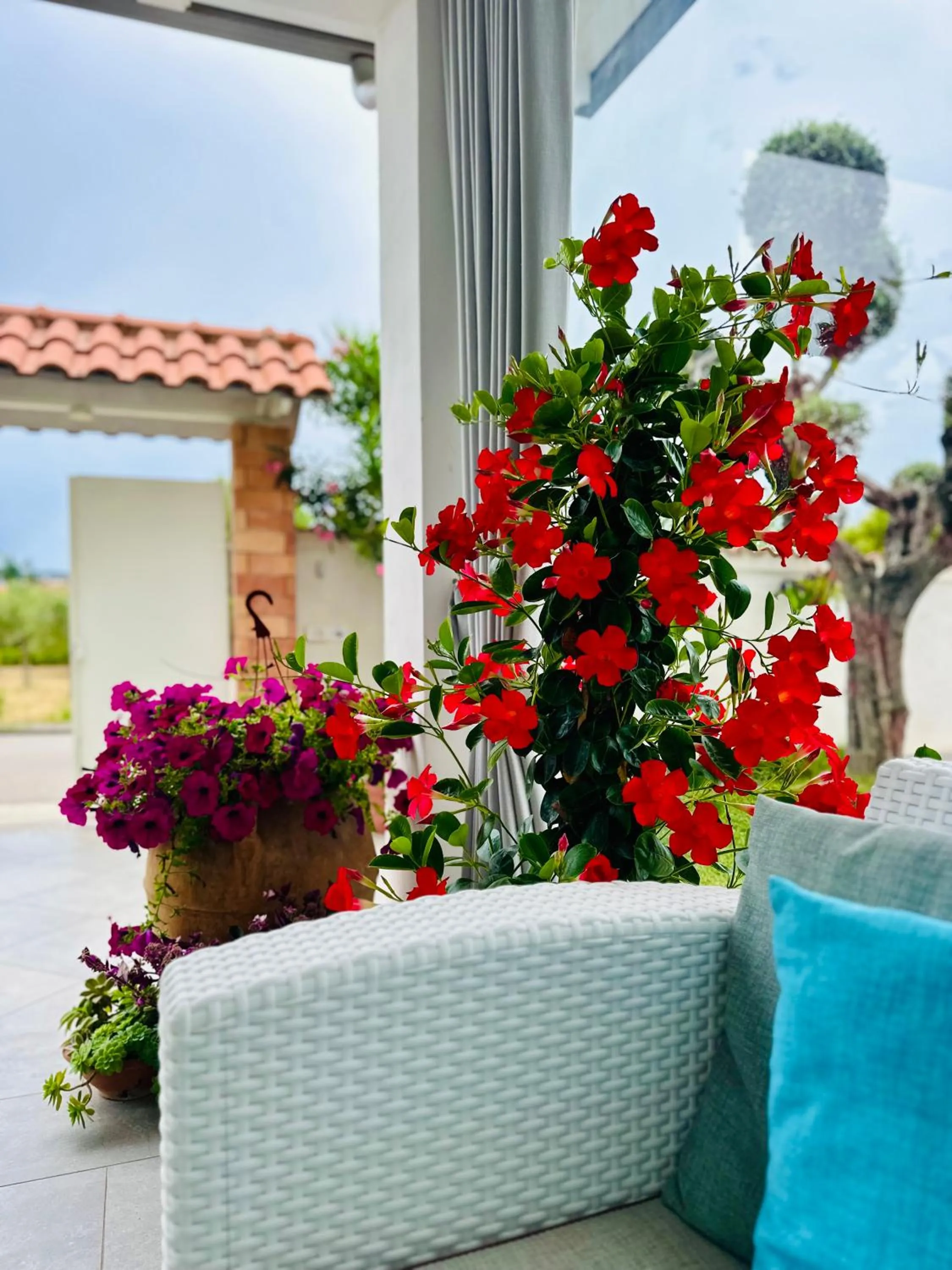 Garden in InVilla Bed&Breakfast - Quality Rooms