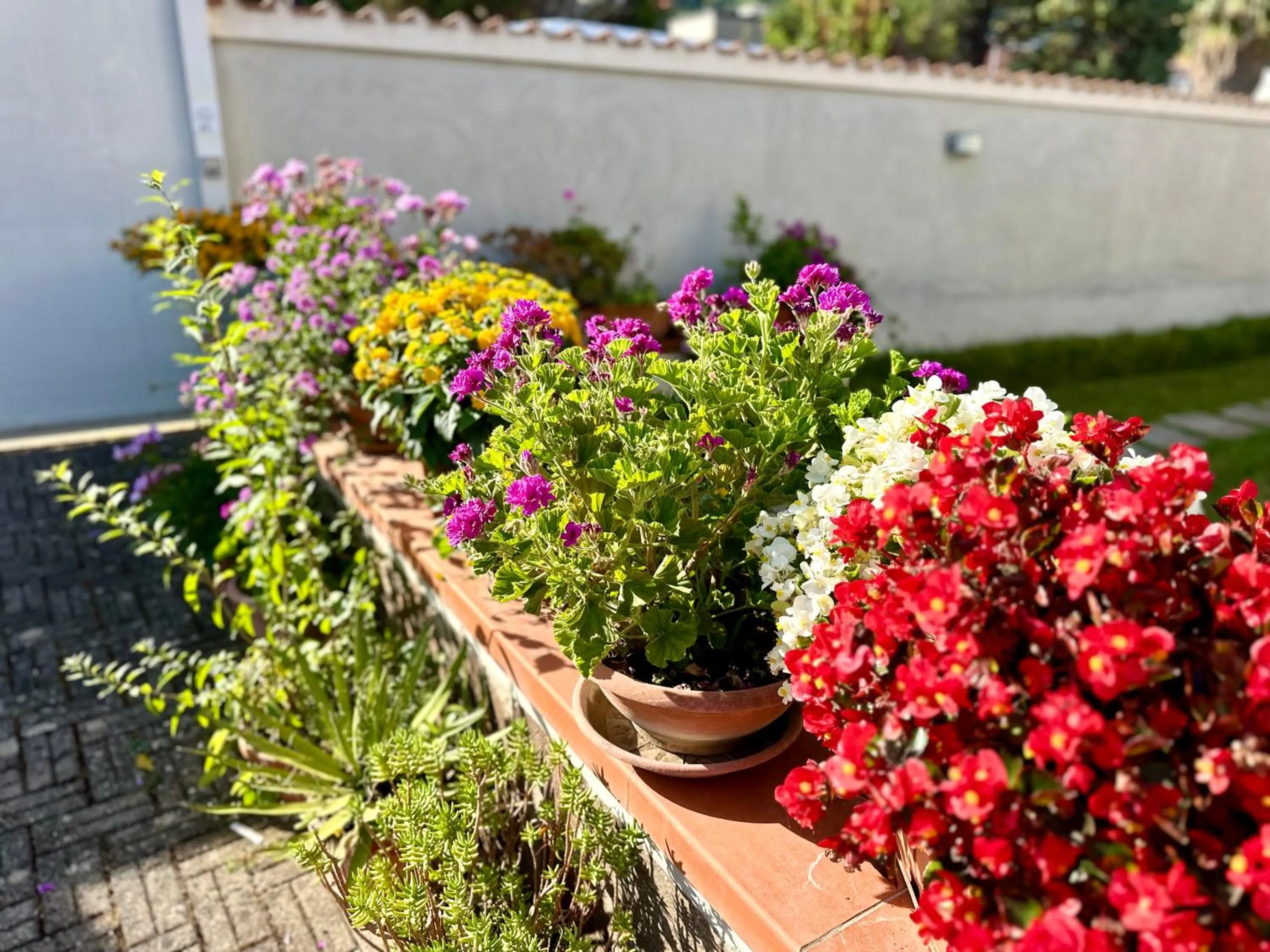 Garden in InVilla Bed&Breakfast - Quality Rooms