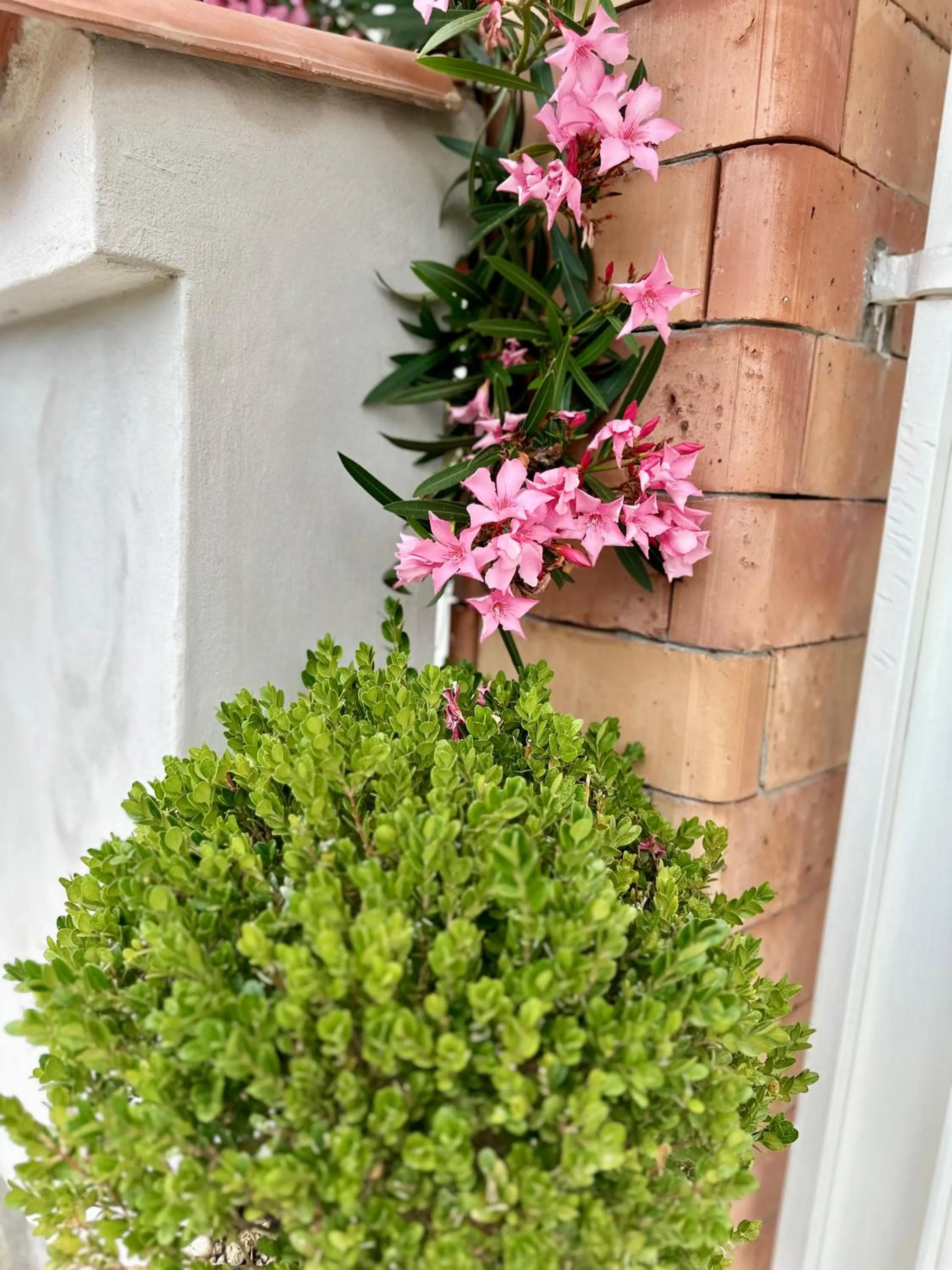 Property building in InVilla Bed&Breakfast - Quality Rooms