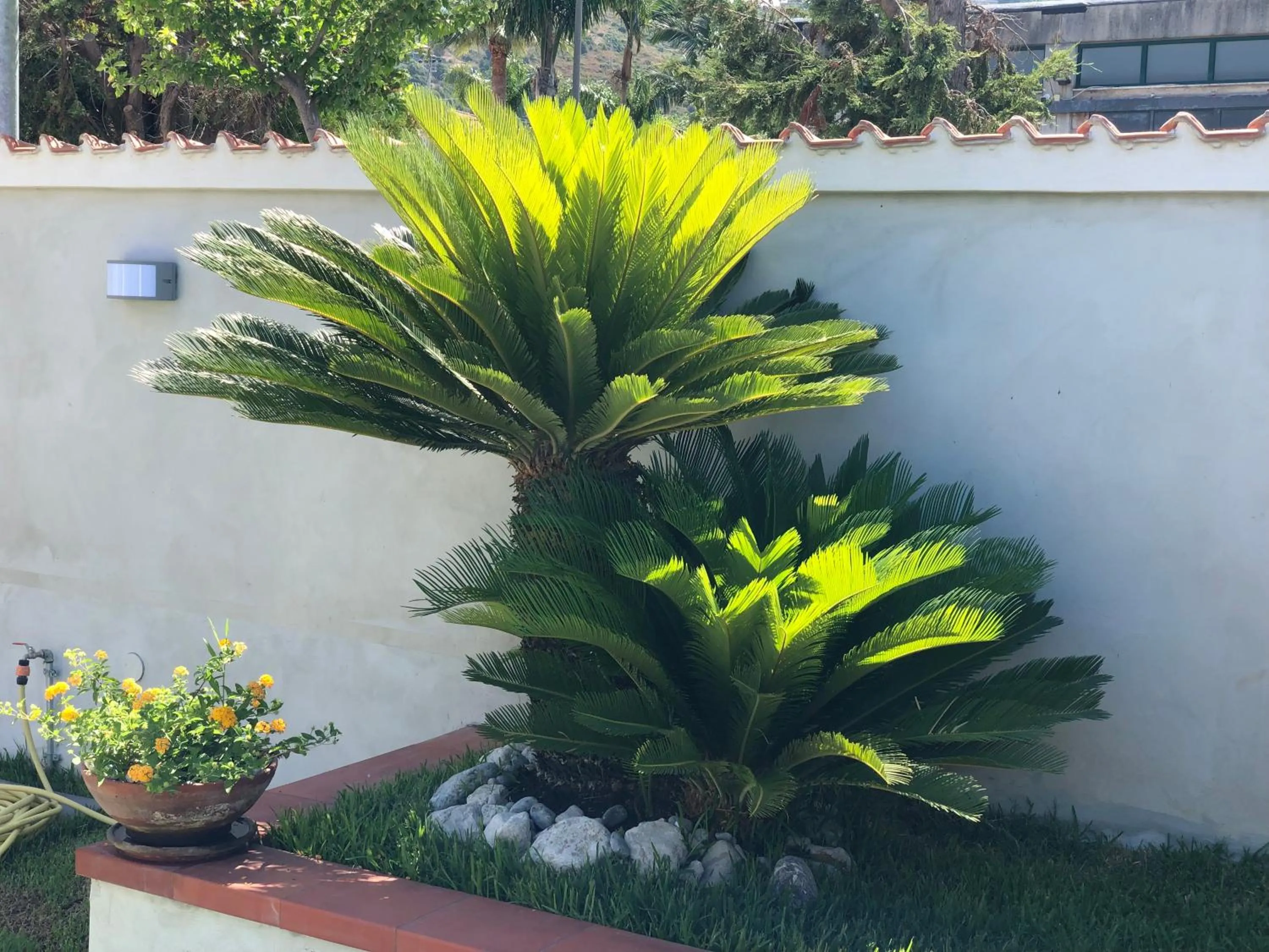 Garden in InVilla Bed&Breakfast - Quality Rooms