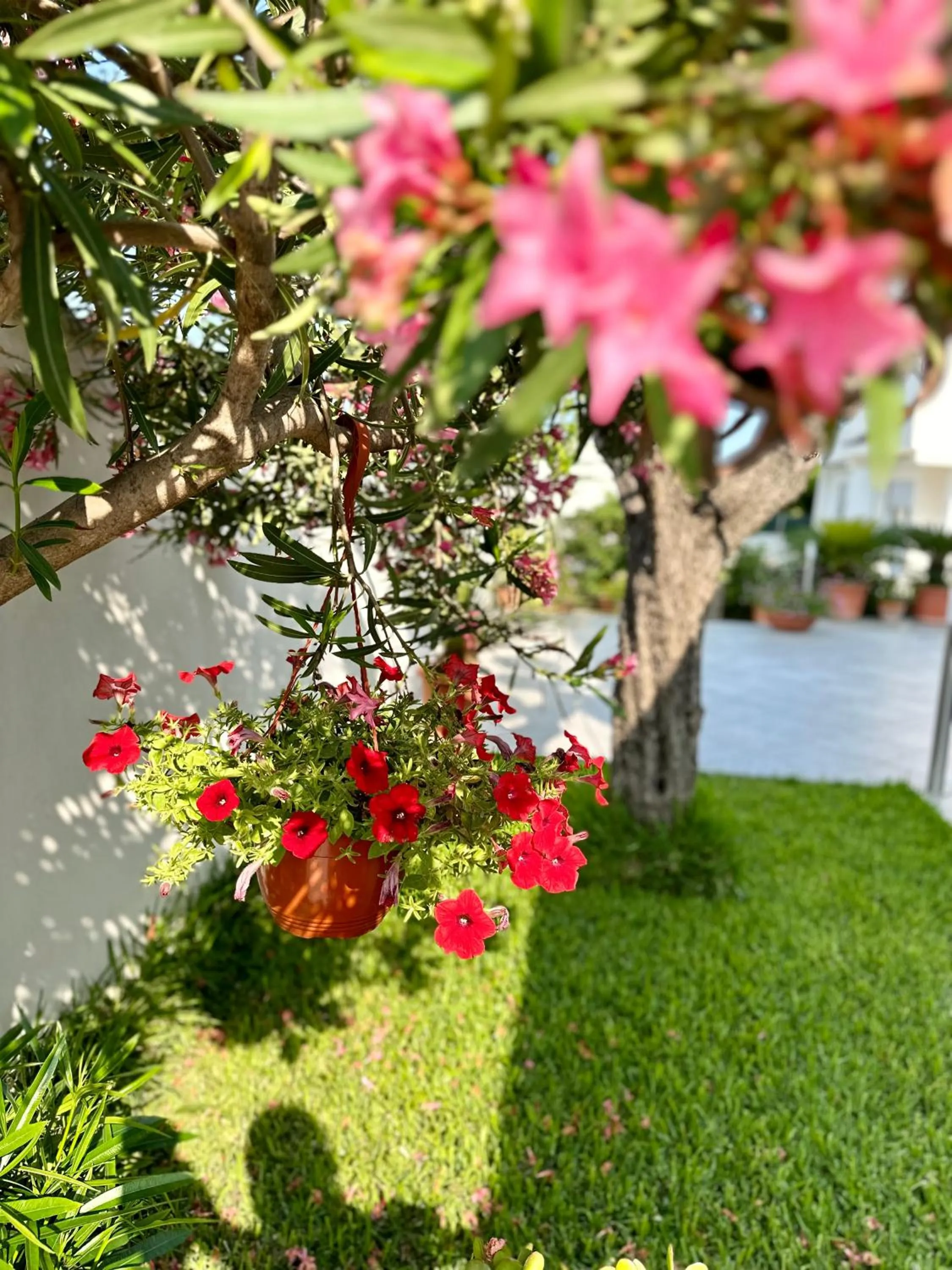 Garden in InVilla Bed&Breakfast - Quality Rooms