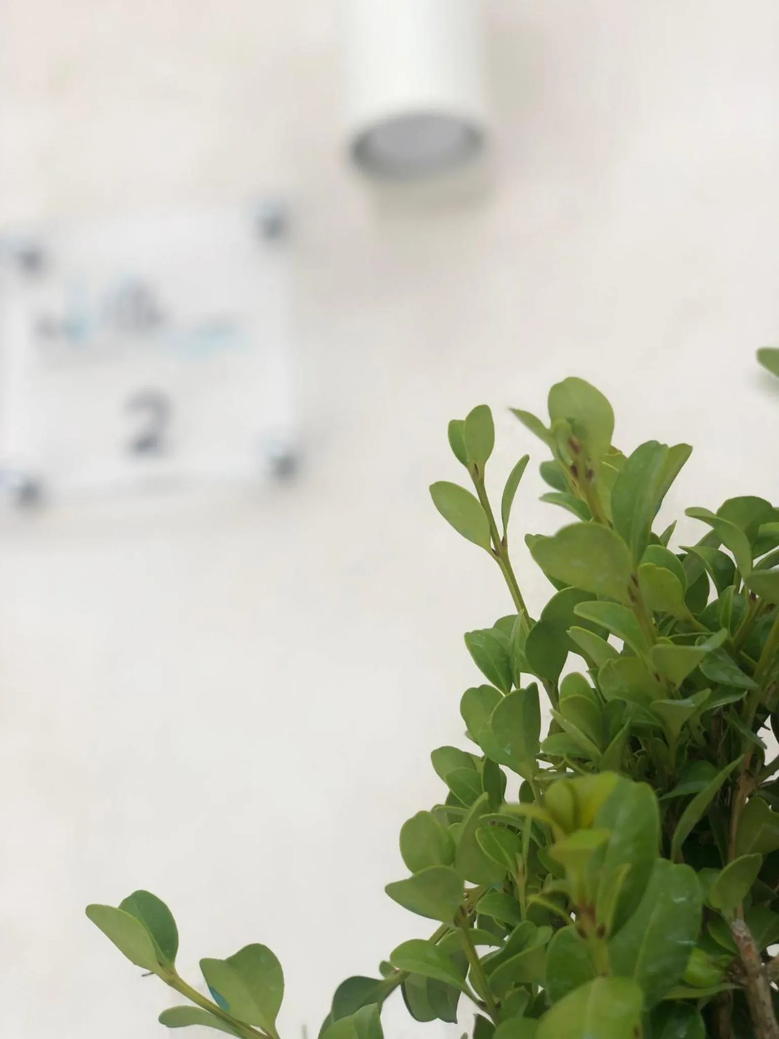 Property building in InVilla Bed&Breakfast - Quality Rooms