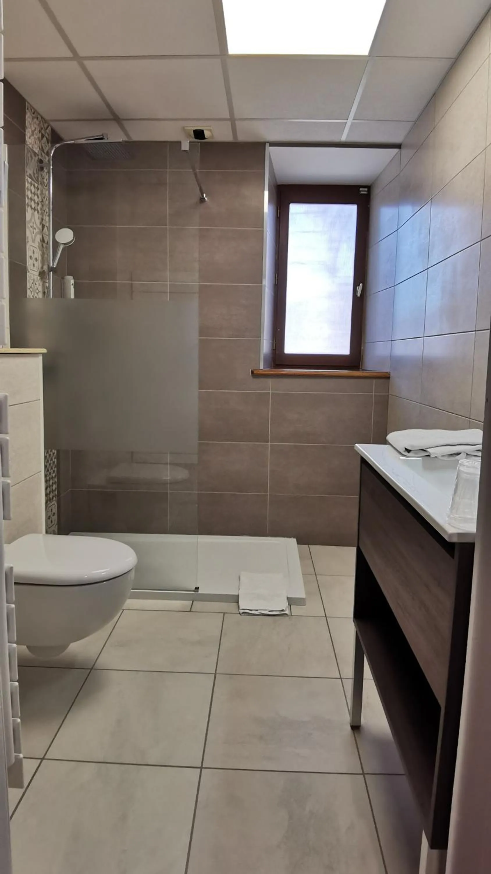 Shower in Logis Hôtel Auberge de l'Allagnonette