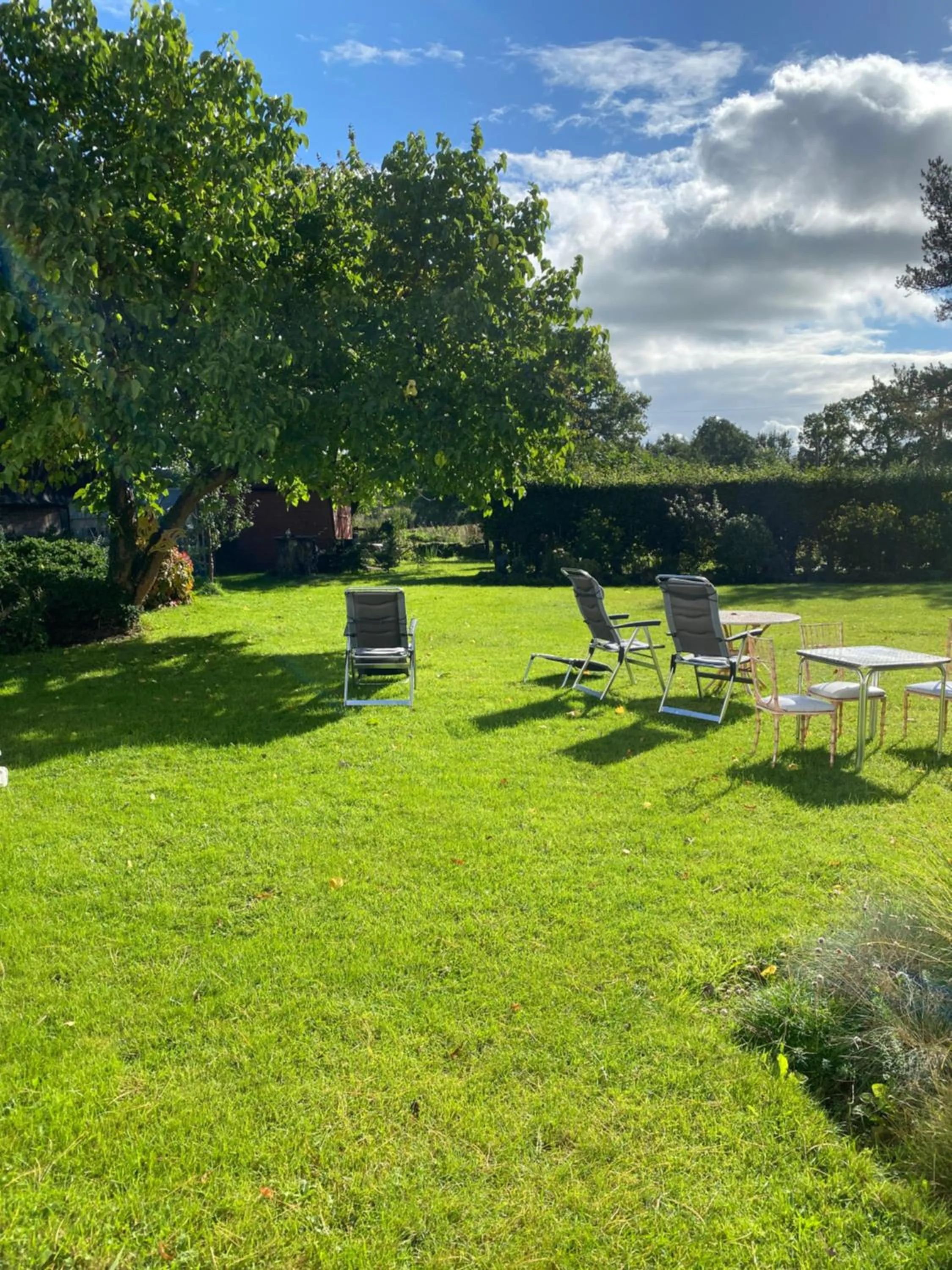 Garden in Art House B & B