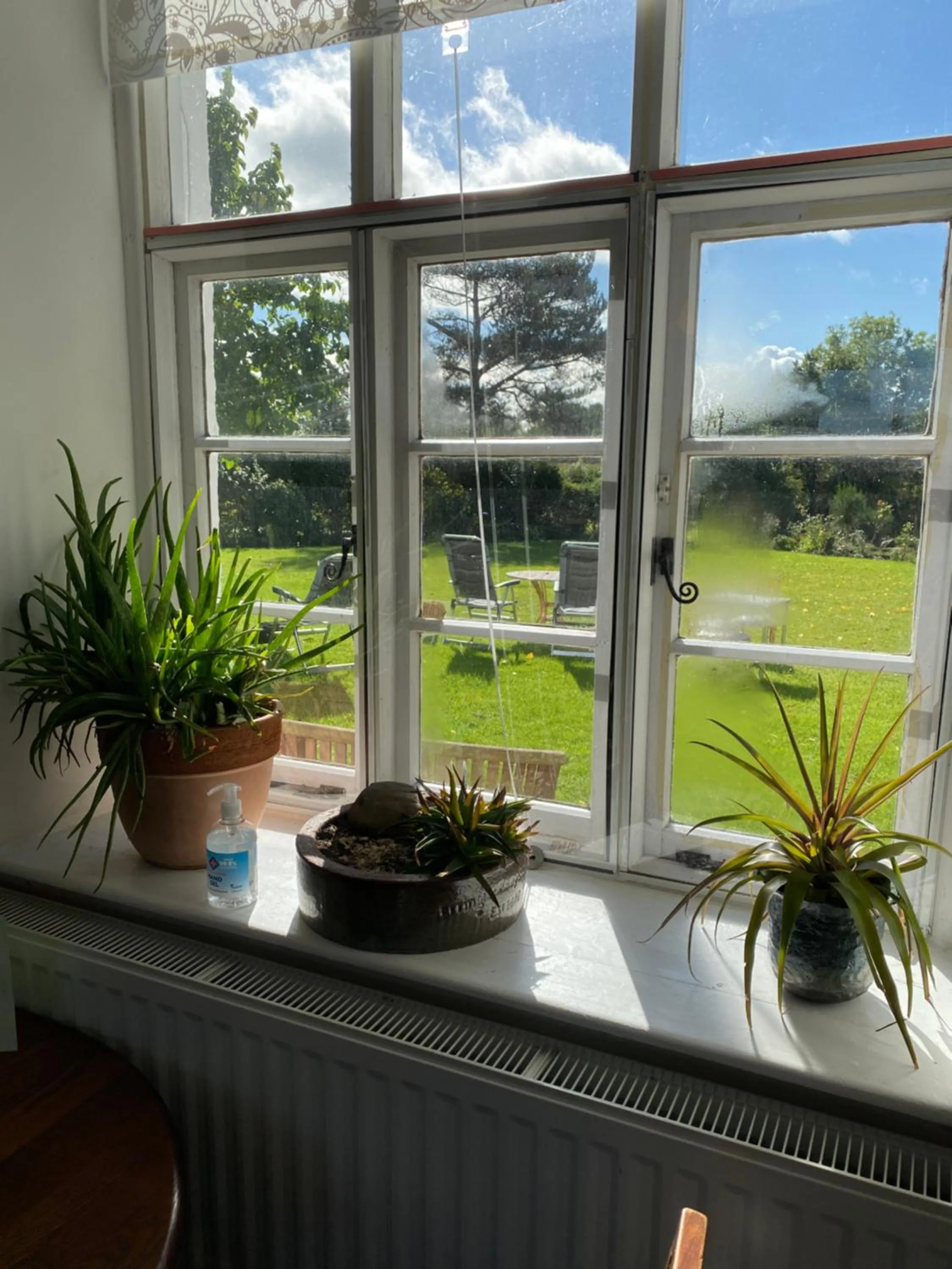 Garden view in Art House B & B