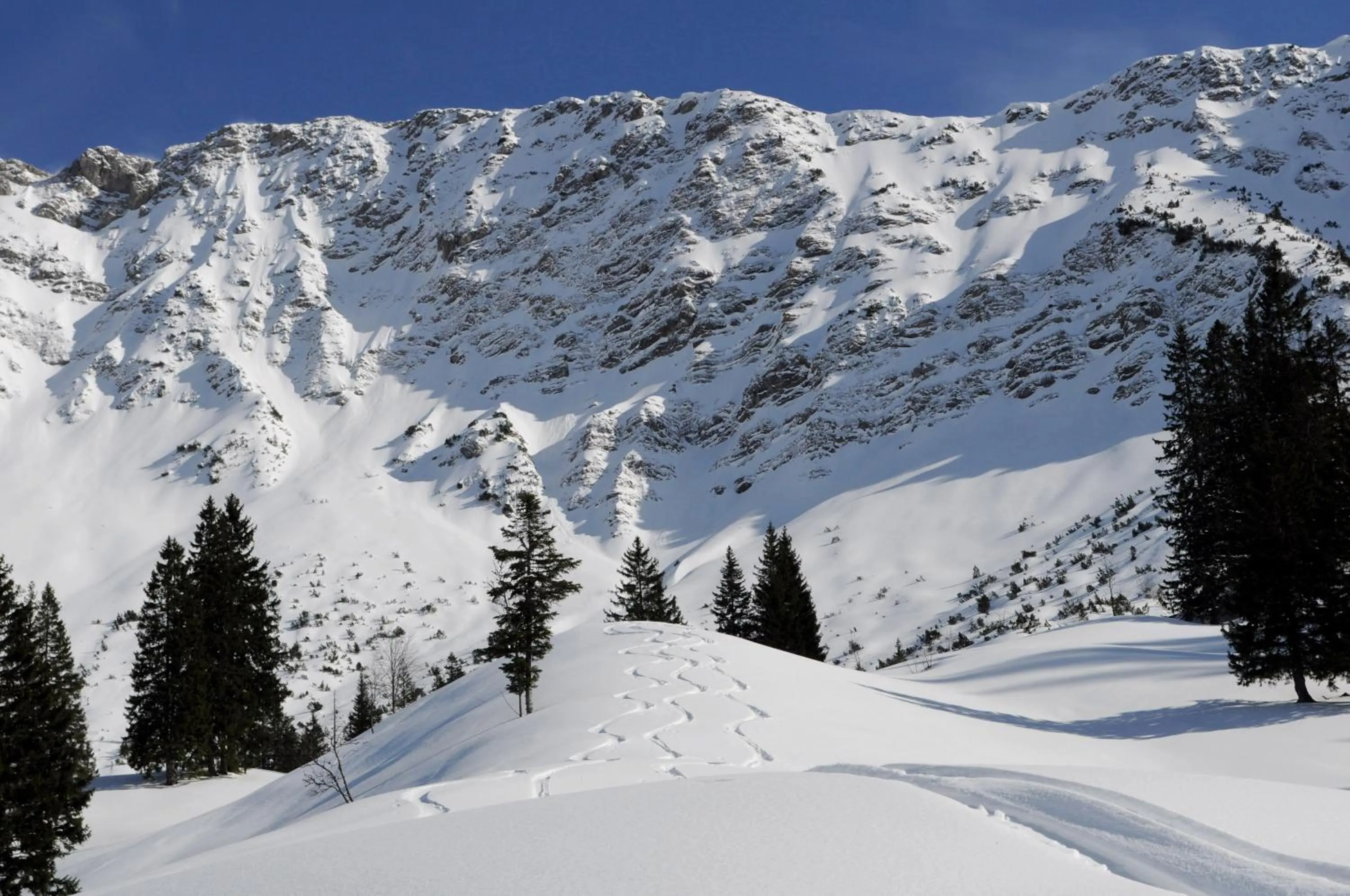 Day in Hotel Garni Malerwinkl