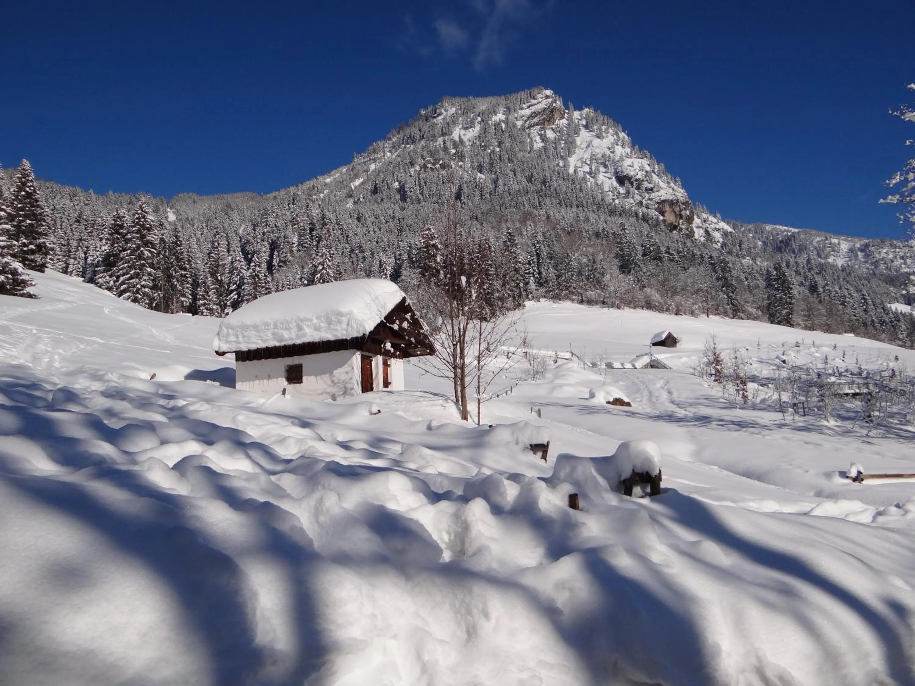 Winter in Hotel Garni Malerwinkl