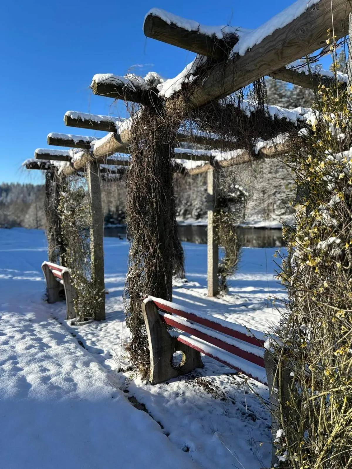 Garden in Landhaus Lauble
