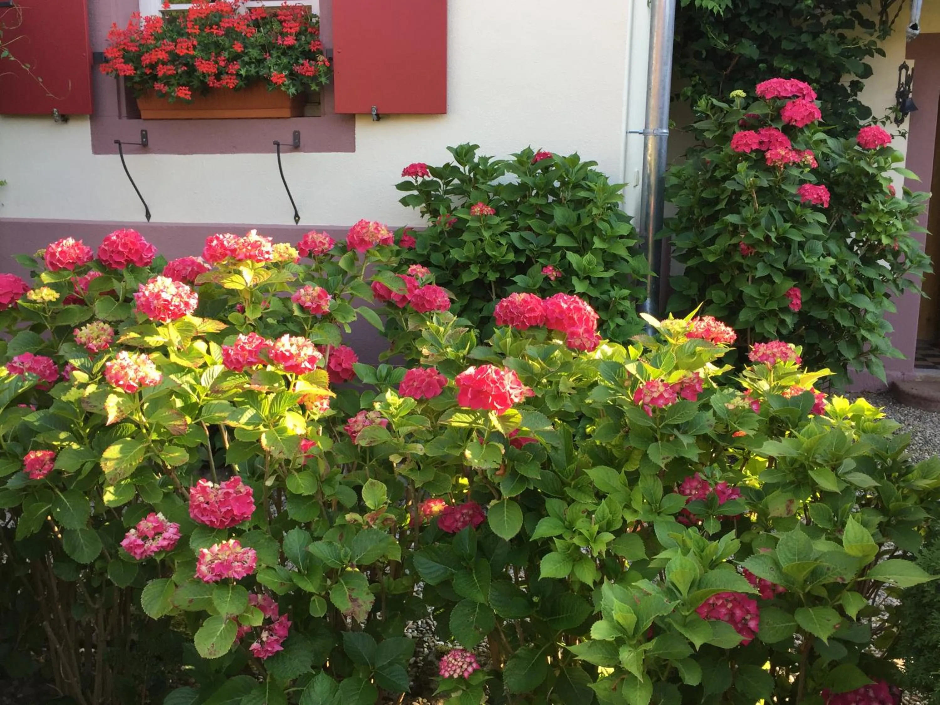 Garden in Hotel de Charme 'zum Schiff'