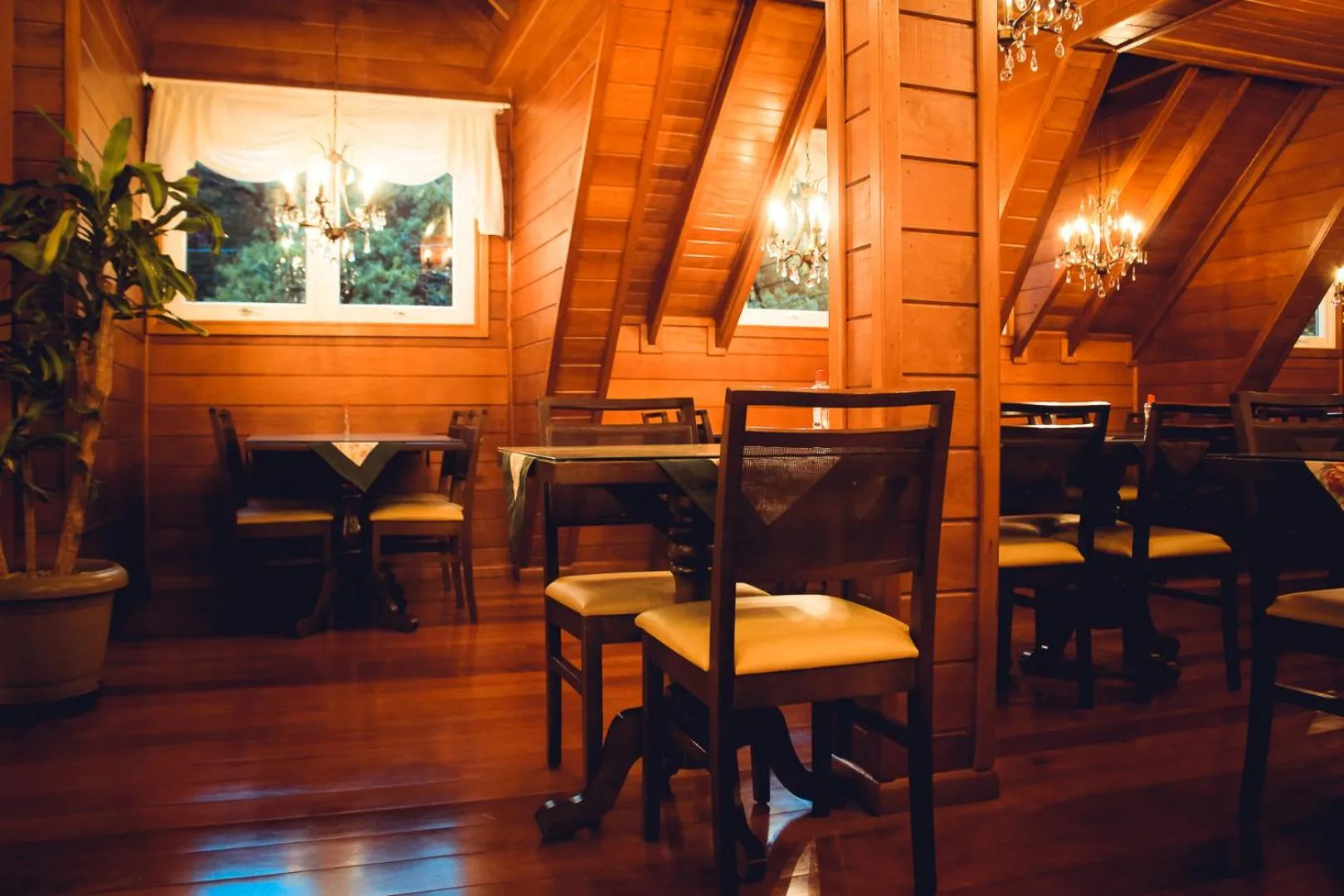 Restaurant/places to eat in Hotel Renascença