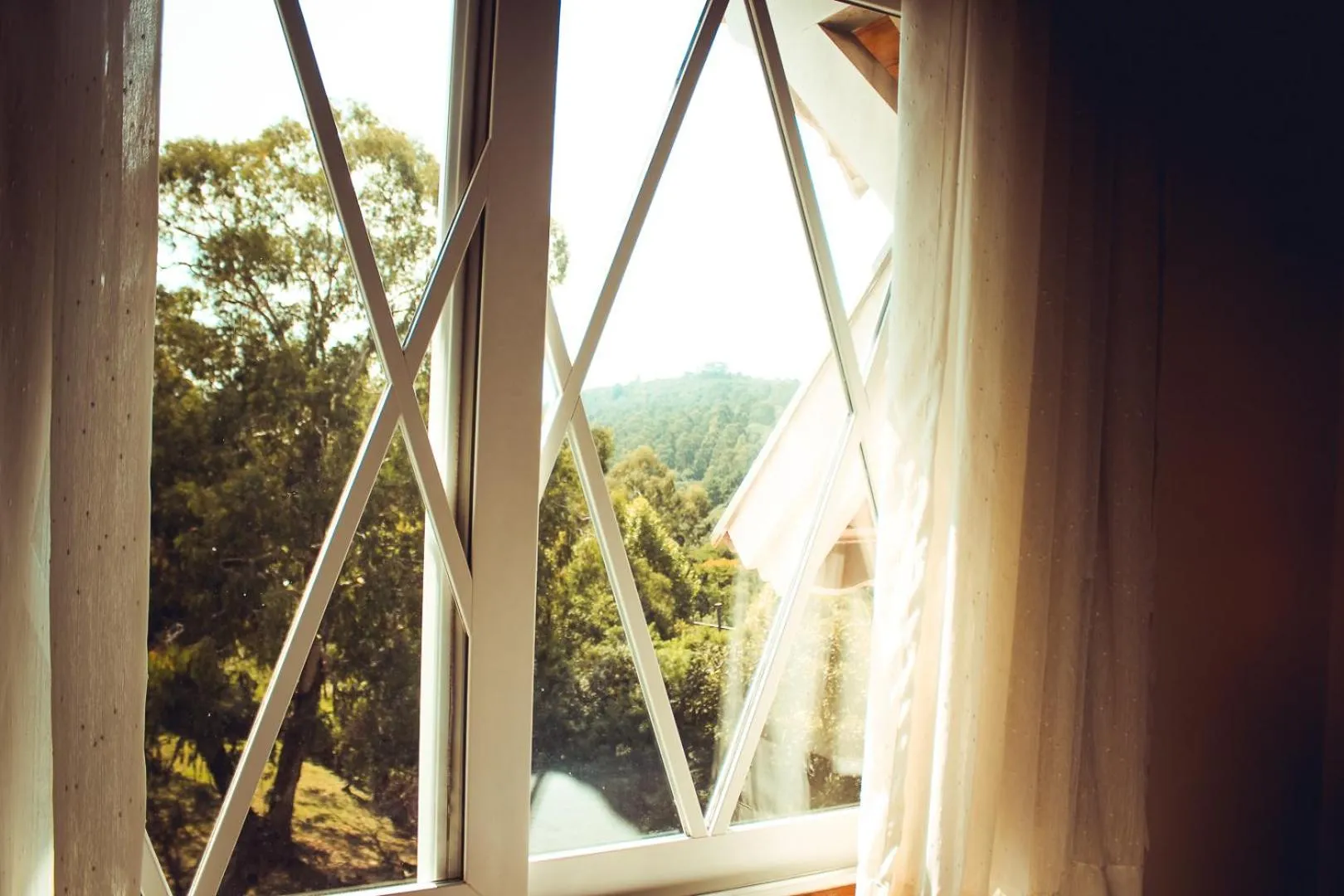 Garden view in Hotel Renascença
