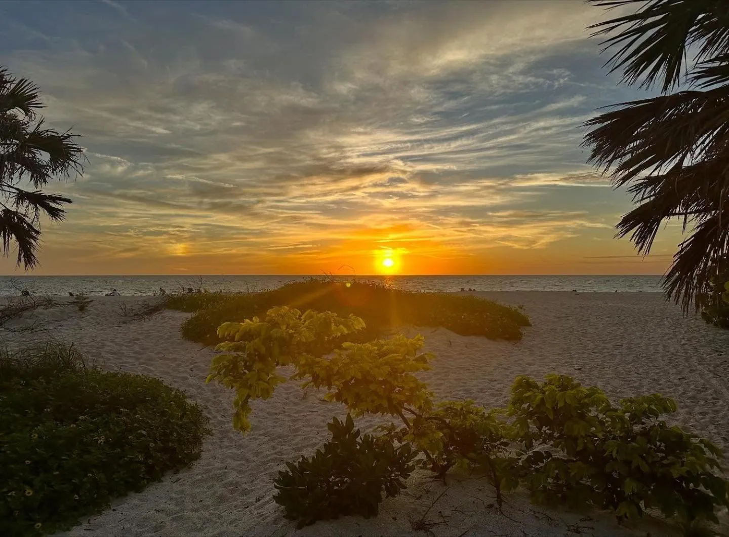 A Beach Retreat on Casey Key