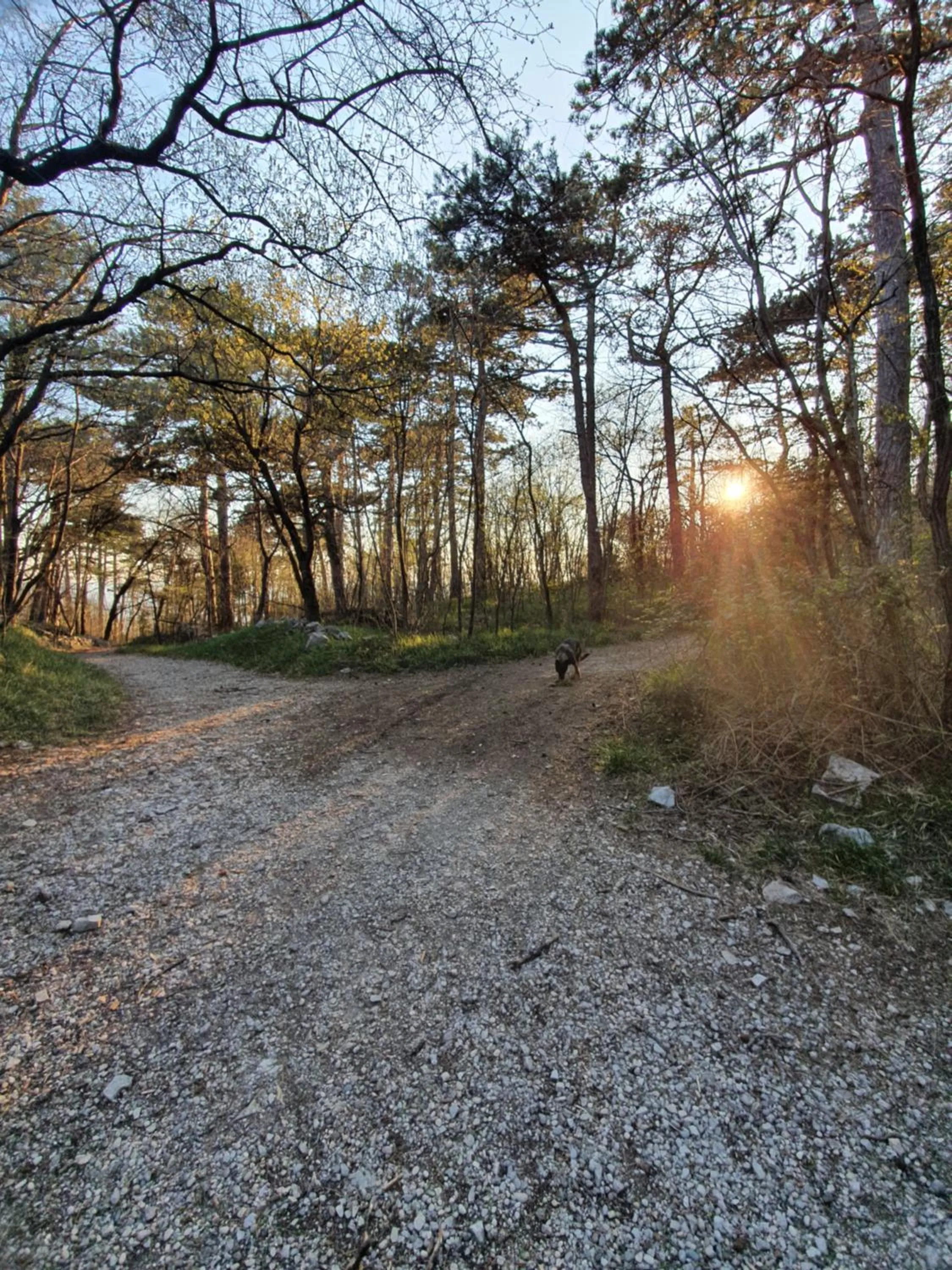 Natural landscape in Le Casite Bed & Breakfast